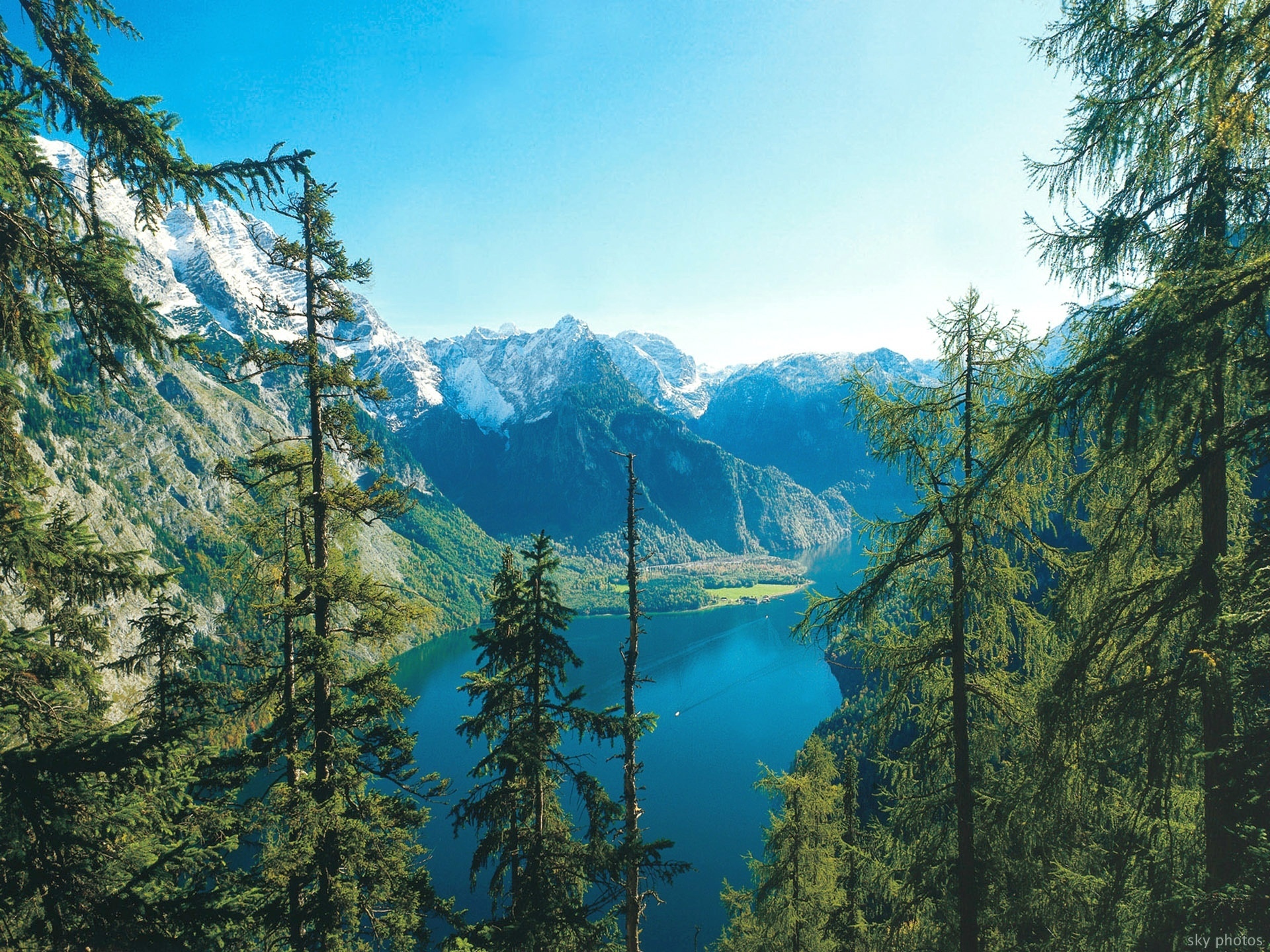 Горные районы природные условия. Национальный парк Берхтесгаден Германия. Berchtesgaden National Park озеро. Национальный парк Берхтесгаден животные. Нац парк баварский лес Германия.