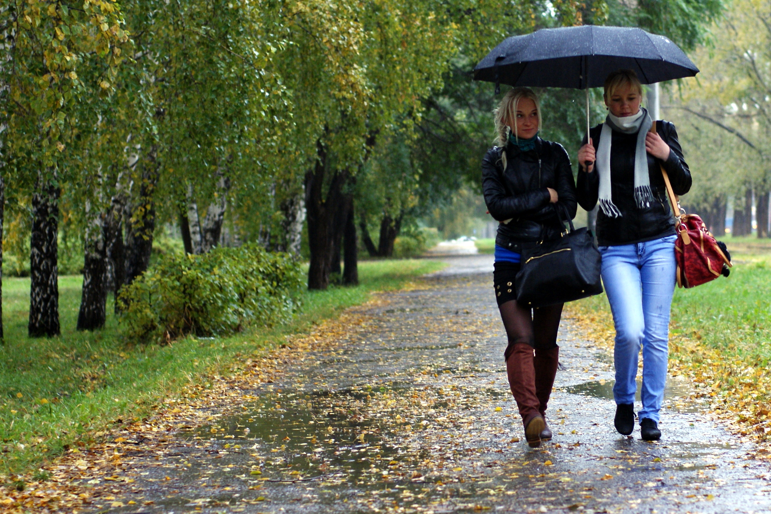 Гулять зонтиком. Прогулка в осеннем парке. Прогулка в парке. Люди на улице осенью. Прогулка под дождём.
