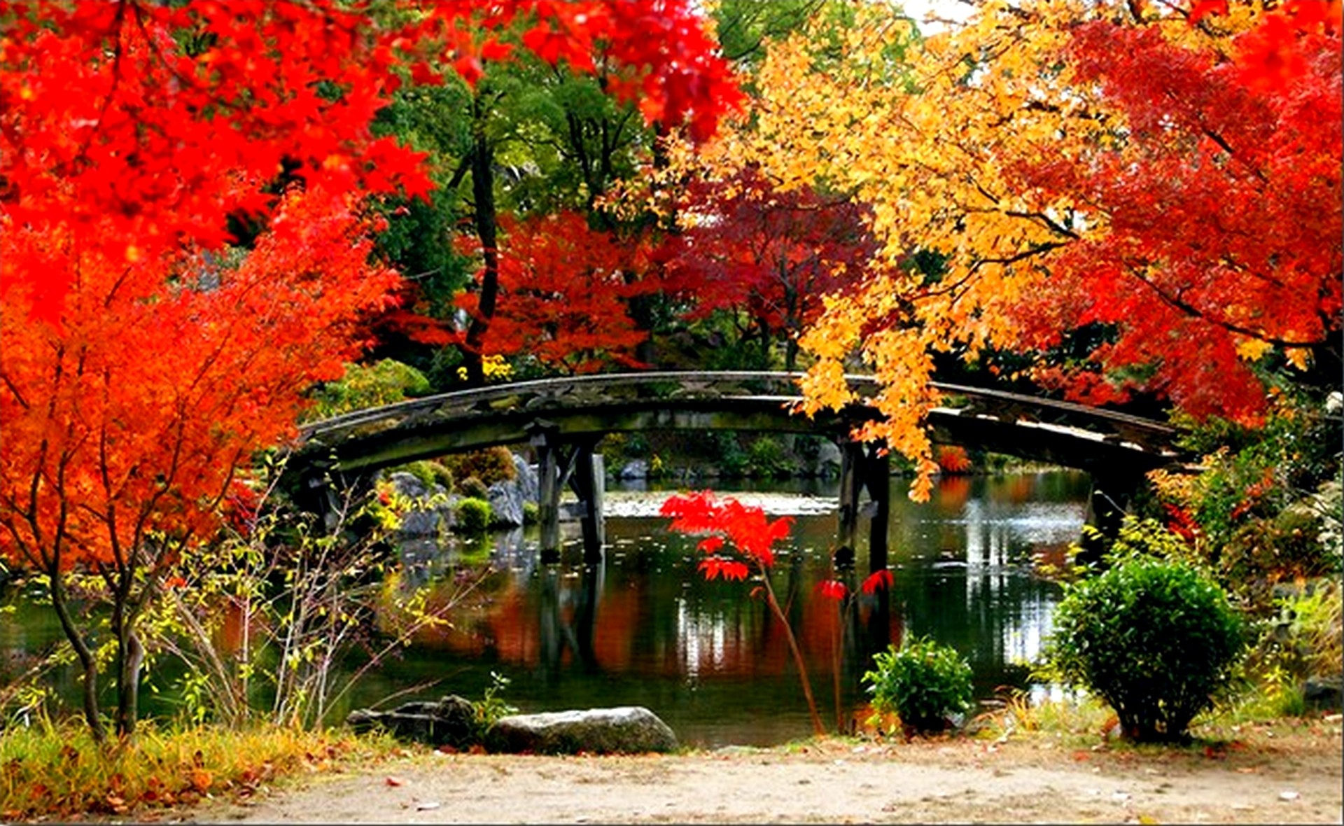 Очень красивая осень. Осень в городе красота. Японский сад осенью. Роскошная осень. Яркая осень Япония.