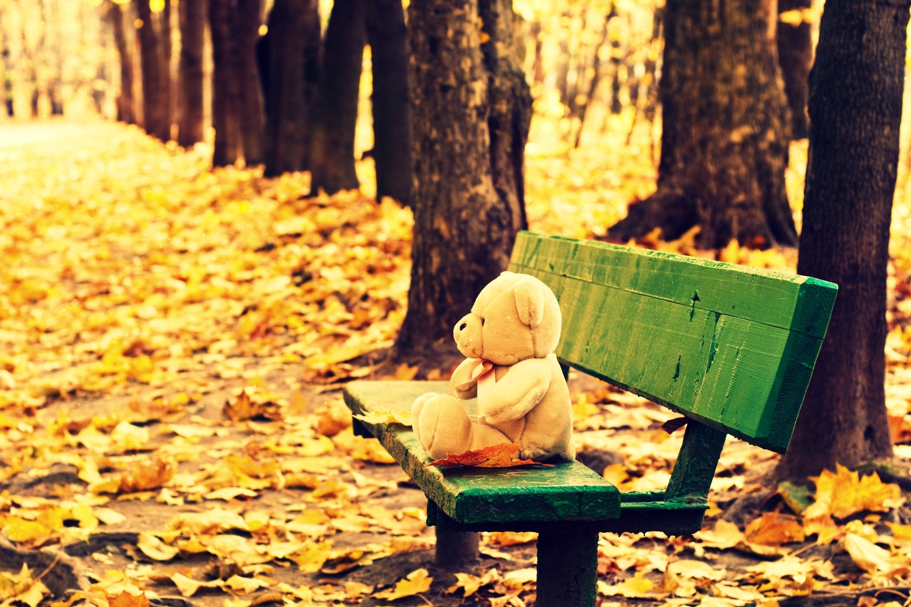 Скука добро. Грустная осень. Осеннее одиночество. Осень одиночество. Осеннее настроение.