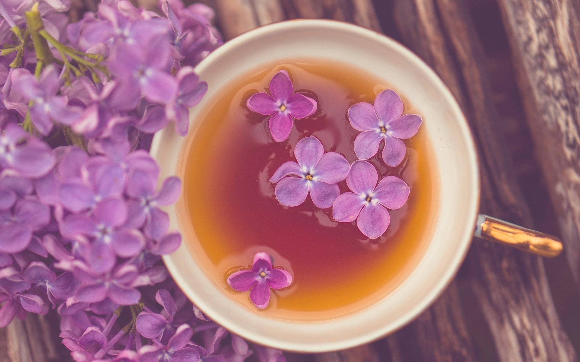 Обои чай, цветы, кружка, настроения, фиолетовый, чашка на рабочий стол