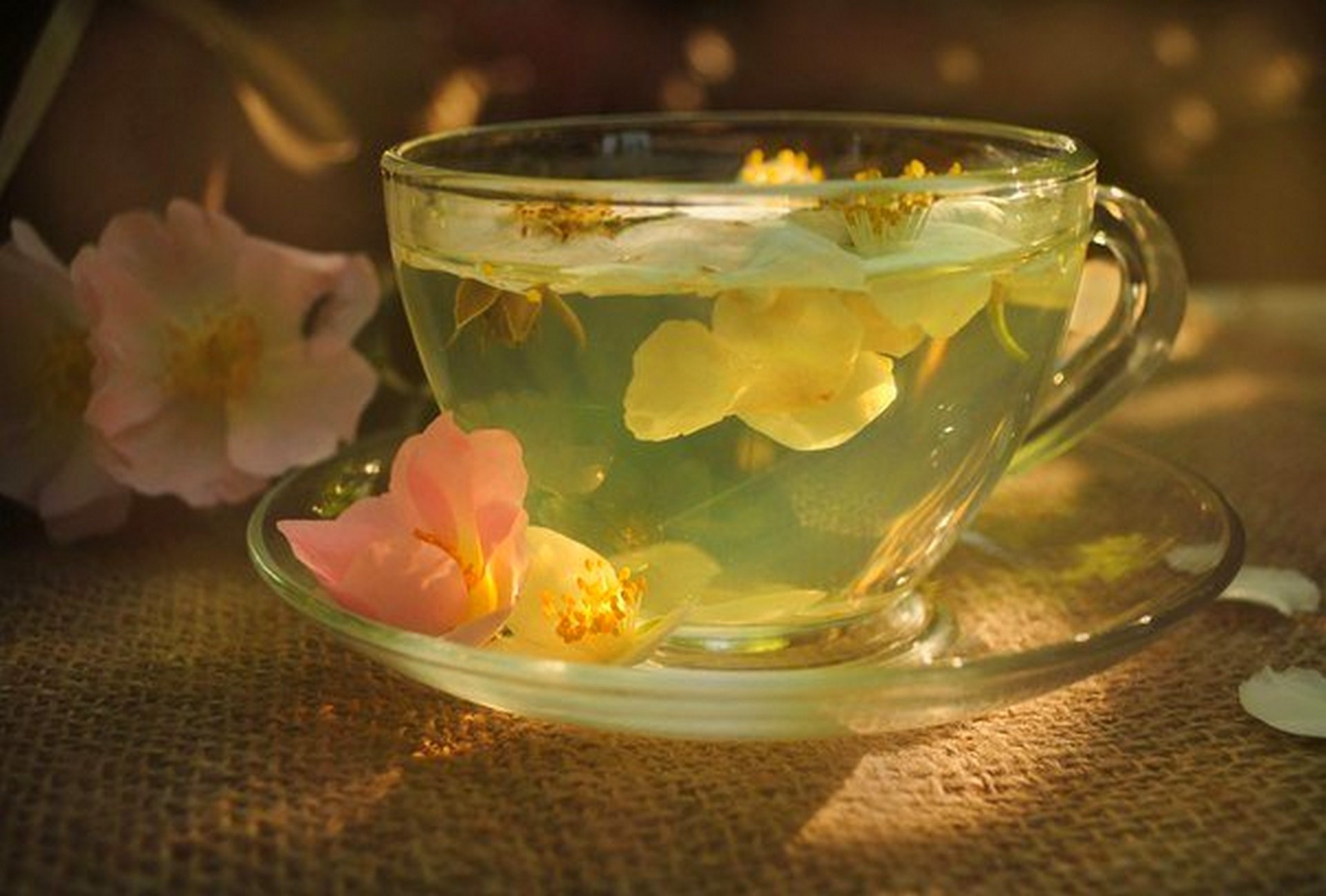 Зеленый чай вечером. Красивые чашки для чая. Красивый чай. Чай с цветами. Красивая чашка с чаем.