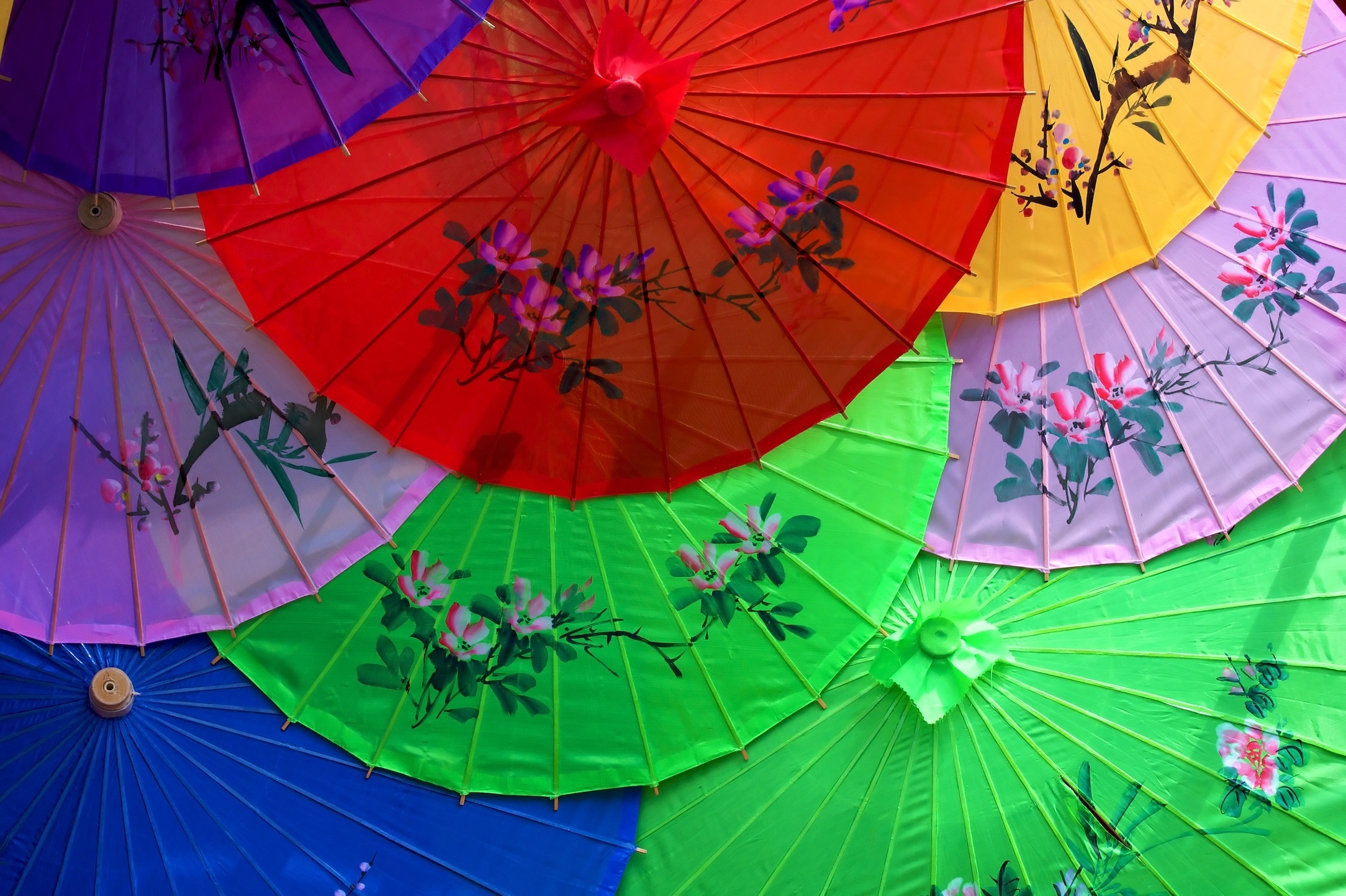Обои зонтика. Разноцветные зонтики. Разноцветный зонт. Китайский зонтик. Японский зонтик.