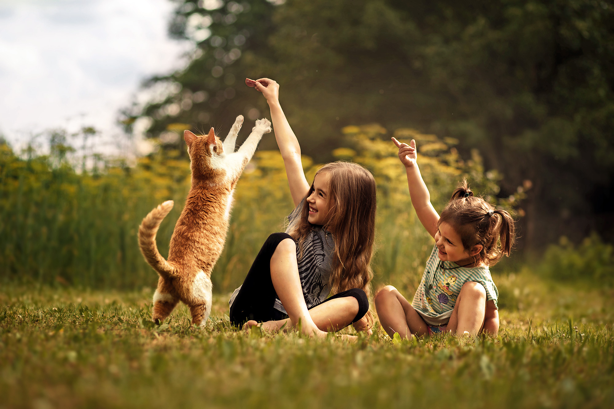 Человек и кошка вместе. Дети и природа. Для детей. Животные. Радостные дети. Дети с животными.