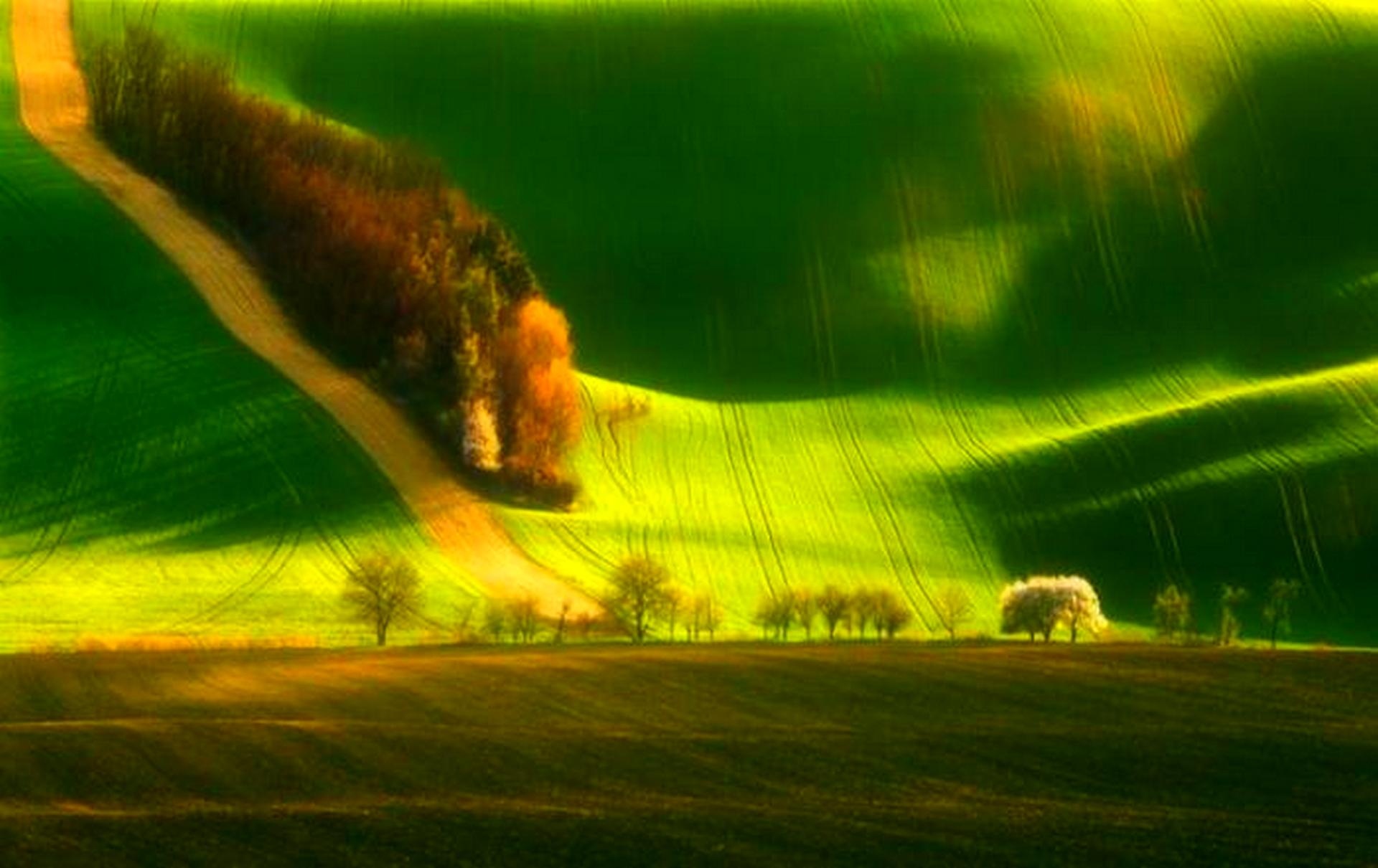 Красивые зеленые места. Зелёные поля Моравии Чехия. Зелёные поля Моравии, Чехия. - Фото. Зеленое ЦУНАМИ Моравия. Потрясающая природа.