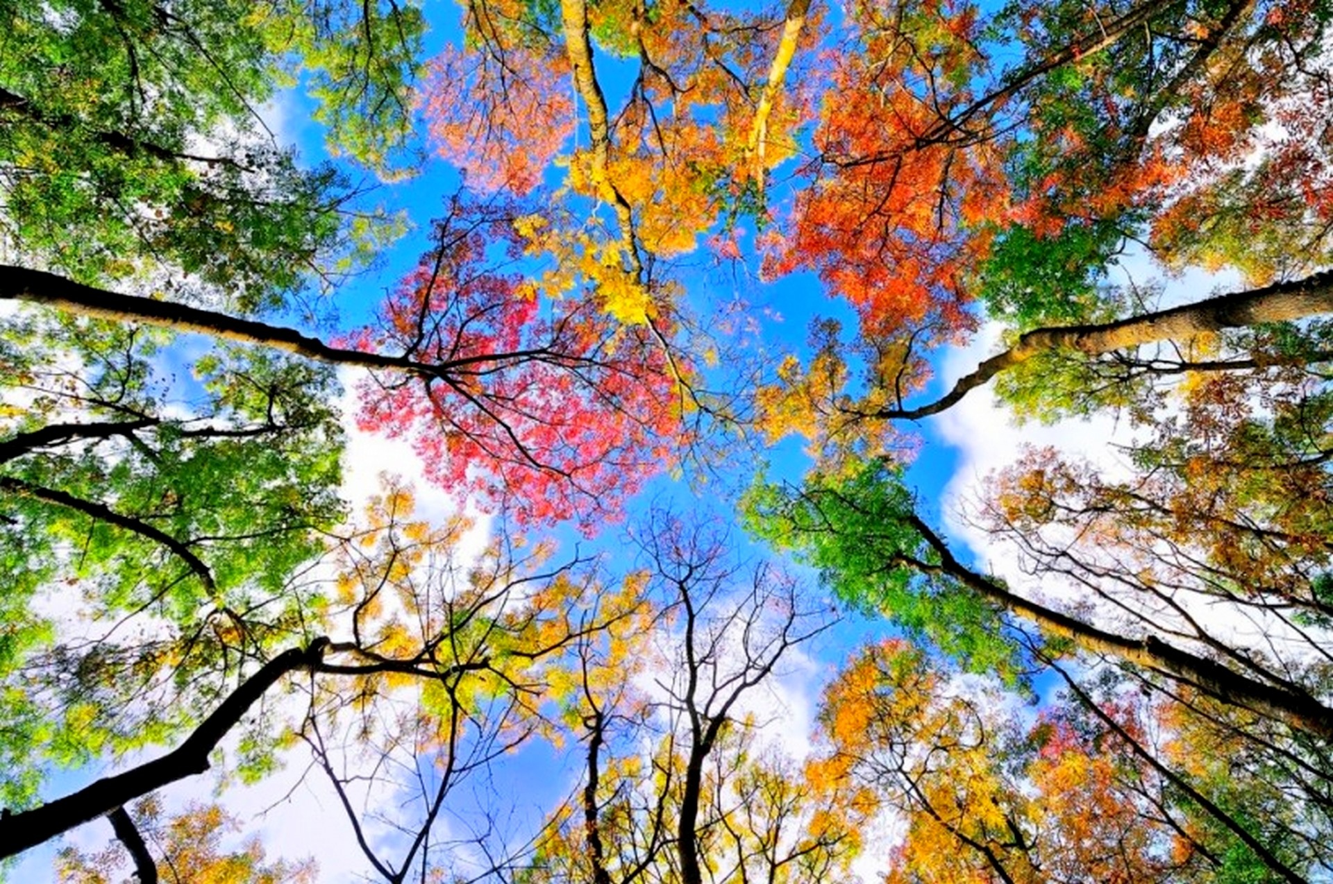 Autumn is beautiful. Красота осени. Красивая осень. Краски осени. Яркие краски природы.