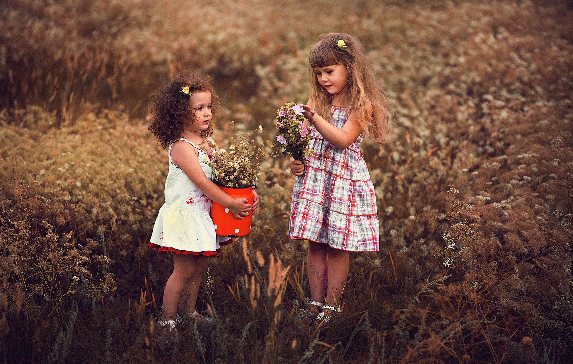 Утро с двумя девочками. Две девочки в поле. Фотосессия сестричек на природе. Фотосессия сестер на природе. Две подружки на лугу.