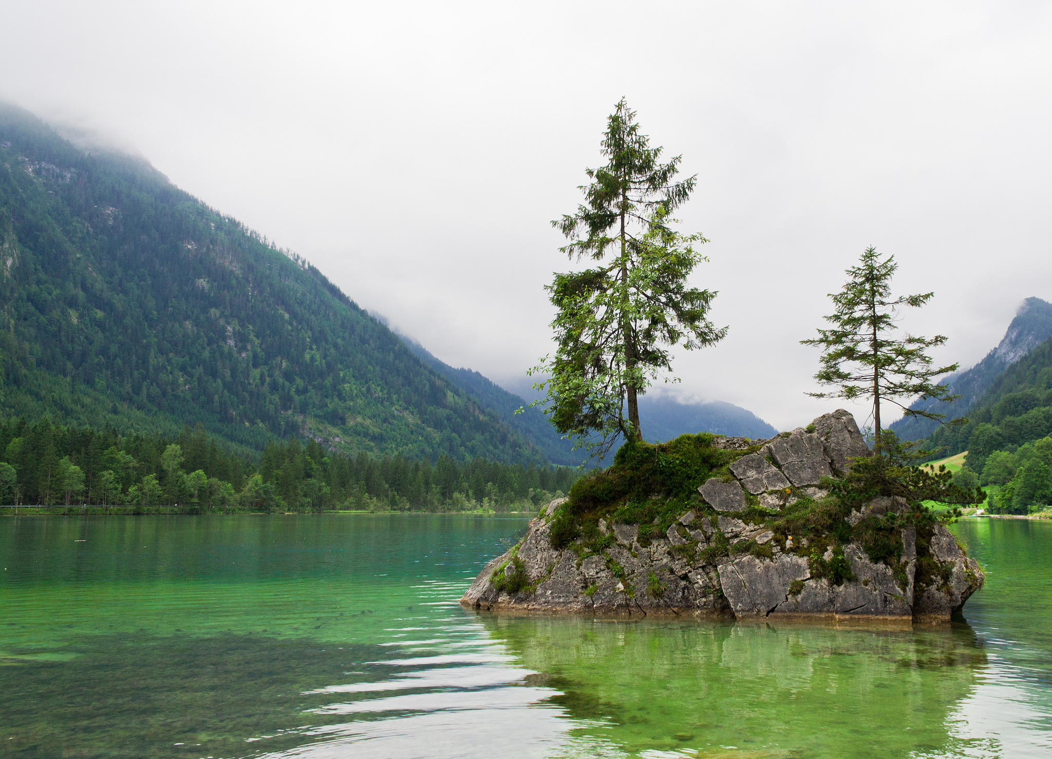 Лесное озеро в Баварии