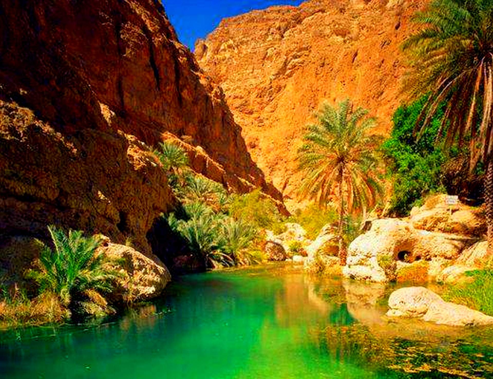 Река оазис. Вади Шааб Оман. Оазис Вади Шааб Оман. Оман Салала природа. Оазис Габерун Ливия.
