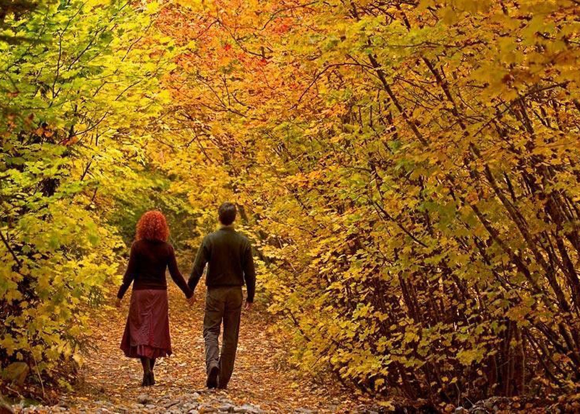 Люблю гулять в лесу. Осенняя прогулка. Осенняя любовь. Пара гуляет в парке. Прогулка осенью.