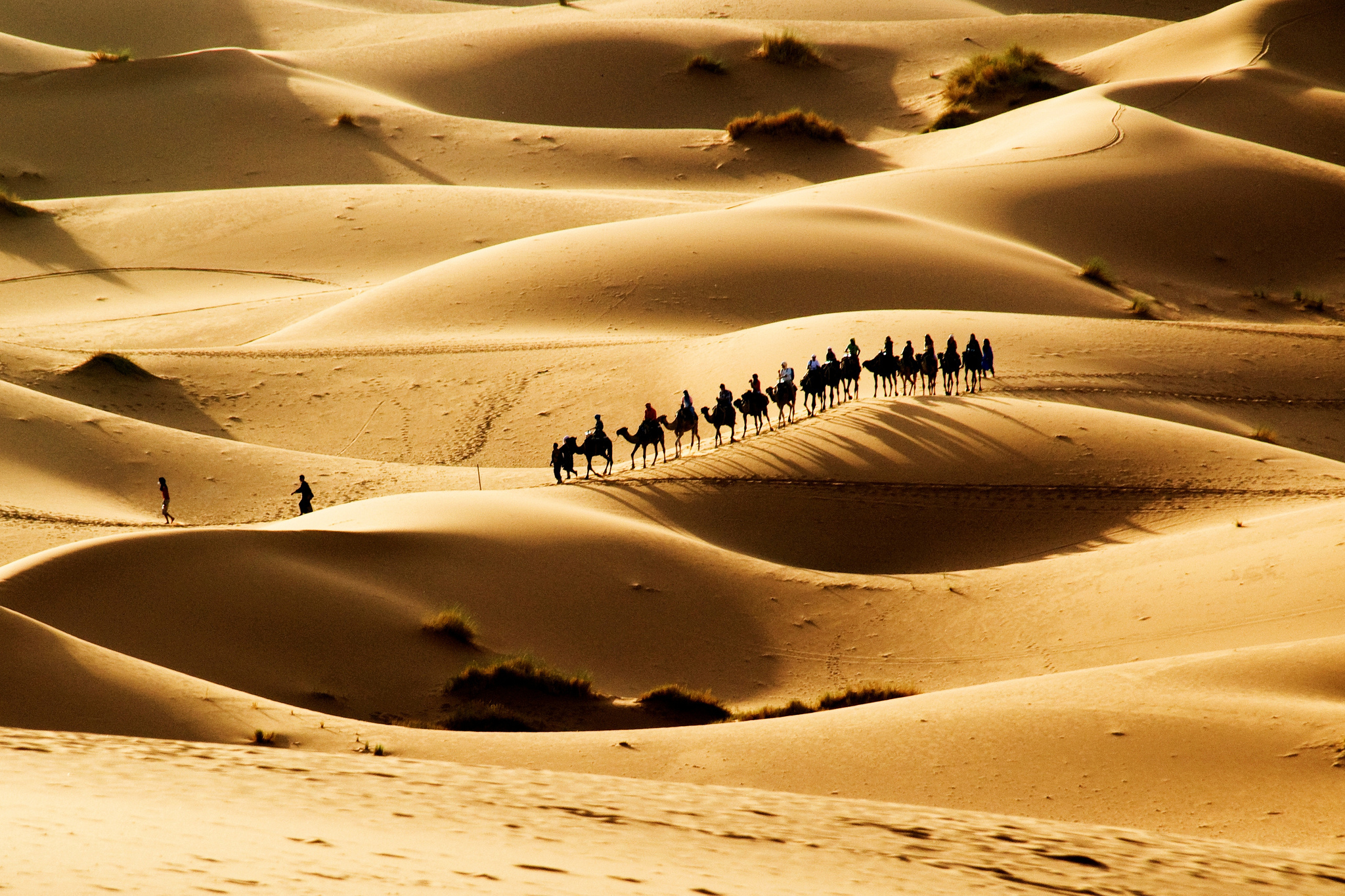 Пустыня. Пустыни Йемена Барханы. Пески пустыни Каракумы Барханы. Барханы и дюны в пустыне. Дюны Барханы Караван.