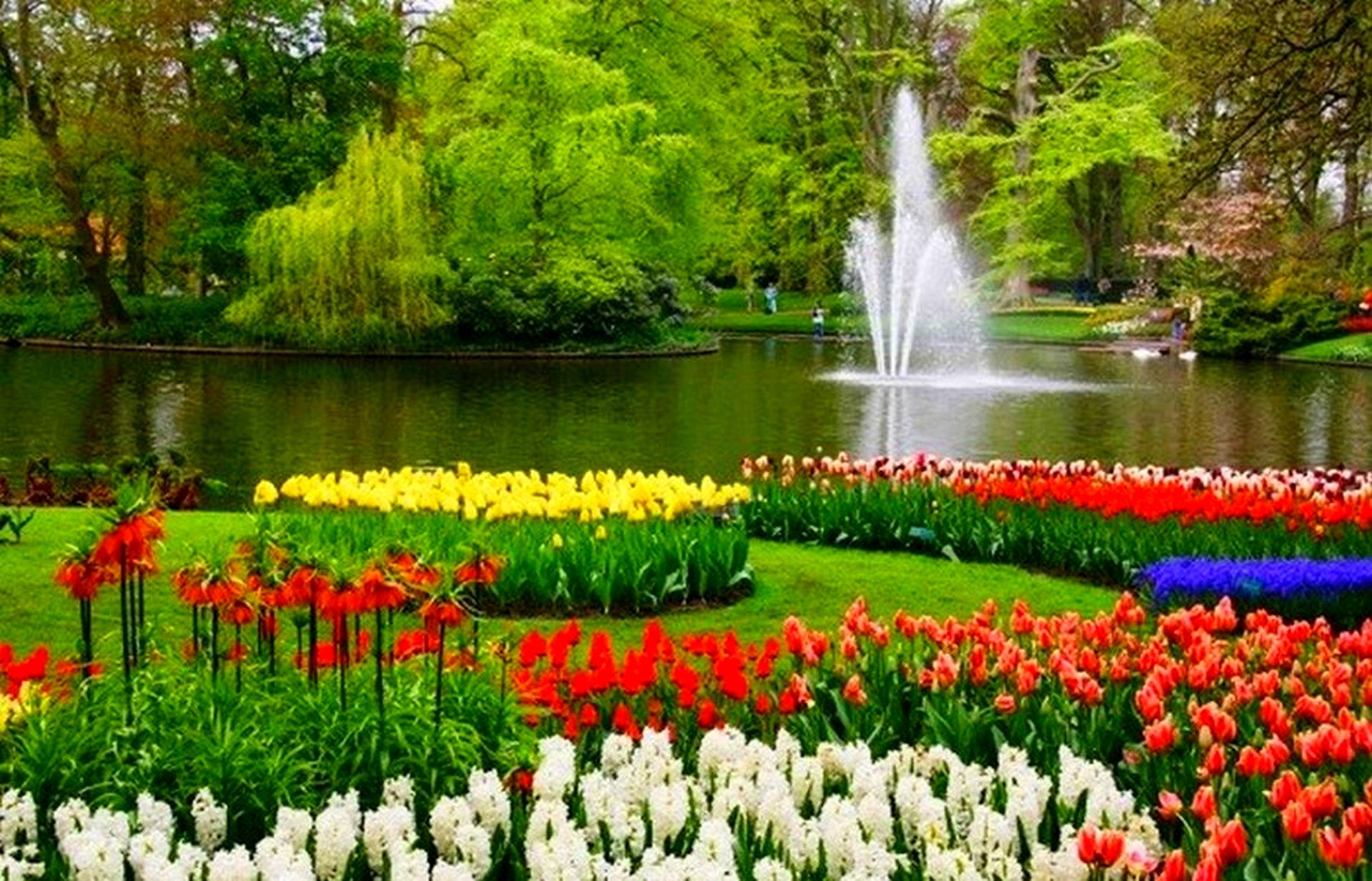 Парк с цветами