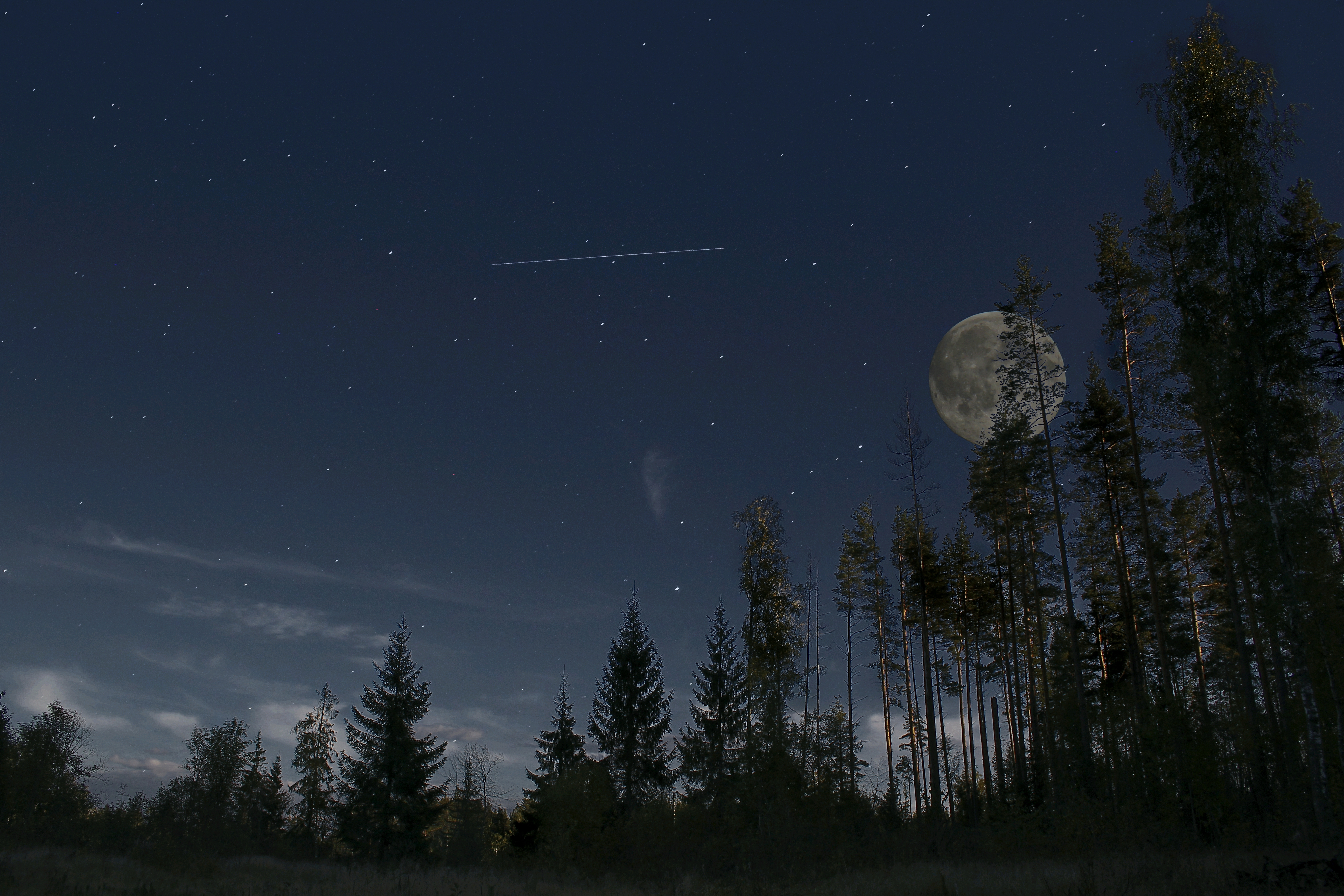 Луна свердловская область. Ночное небо в лесу. Звездное небо с луной. Ночной лес с луной. Луна в лесу.