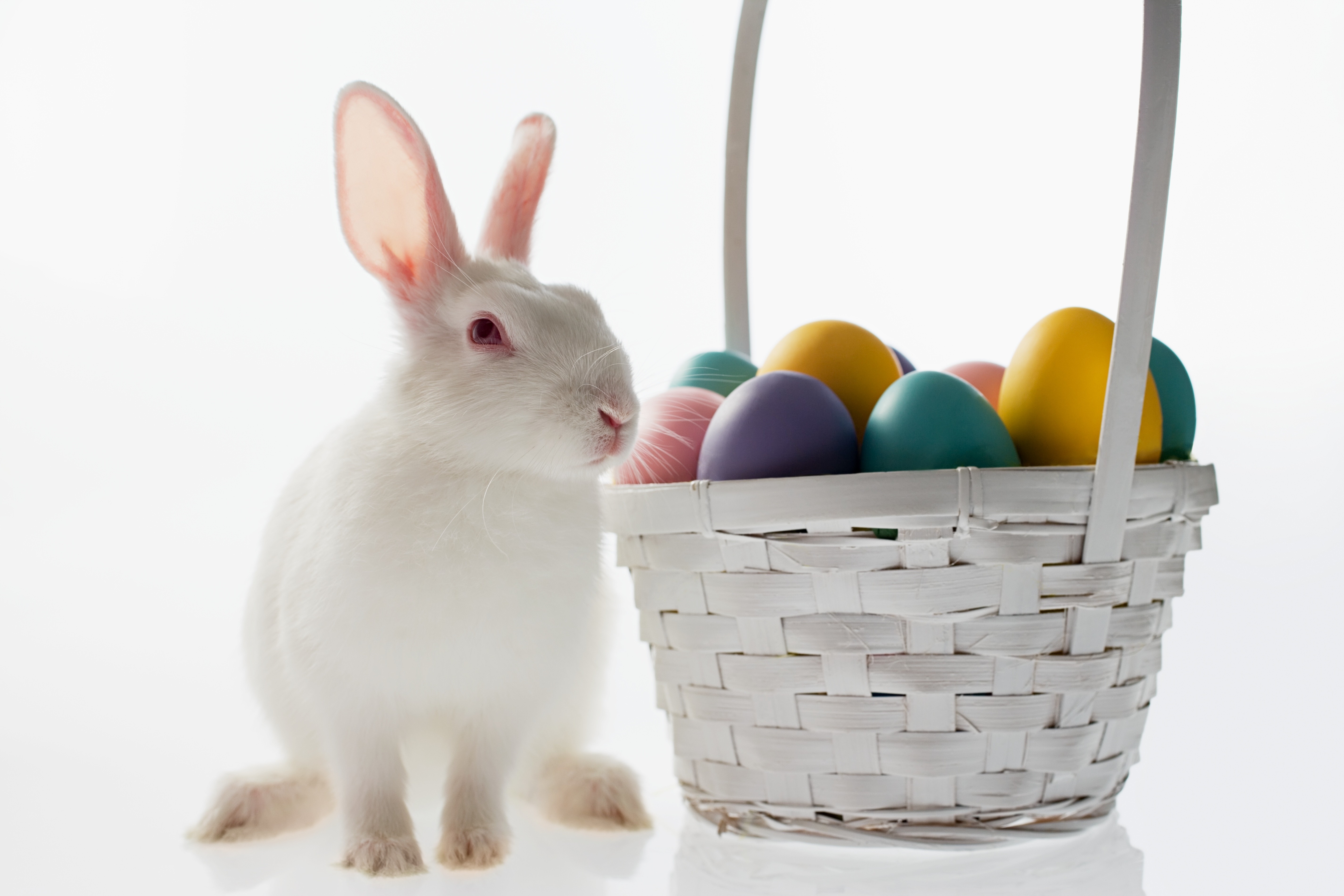 Пасхальный кролик где. Пасхальный кролик. Пасхальный кролик с пасхальными яйцами. Пасхальный кролик с яйцами. Пасхальная корзинка с зайцами.