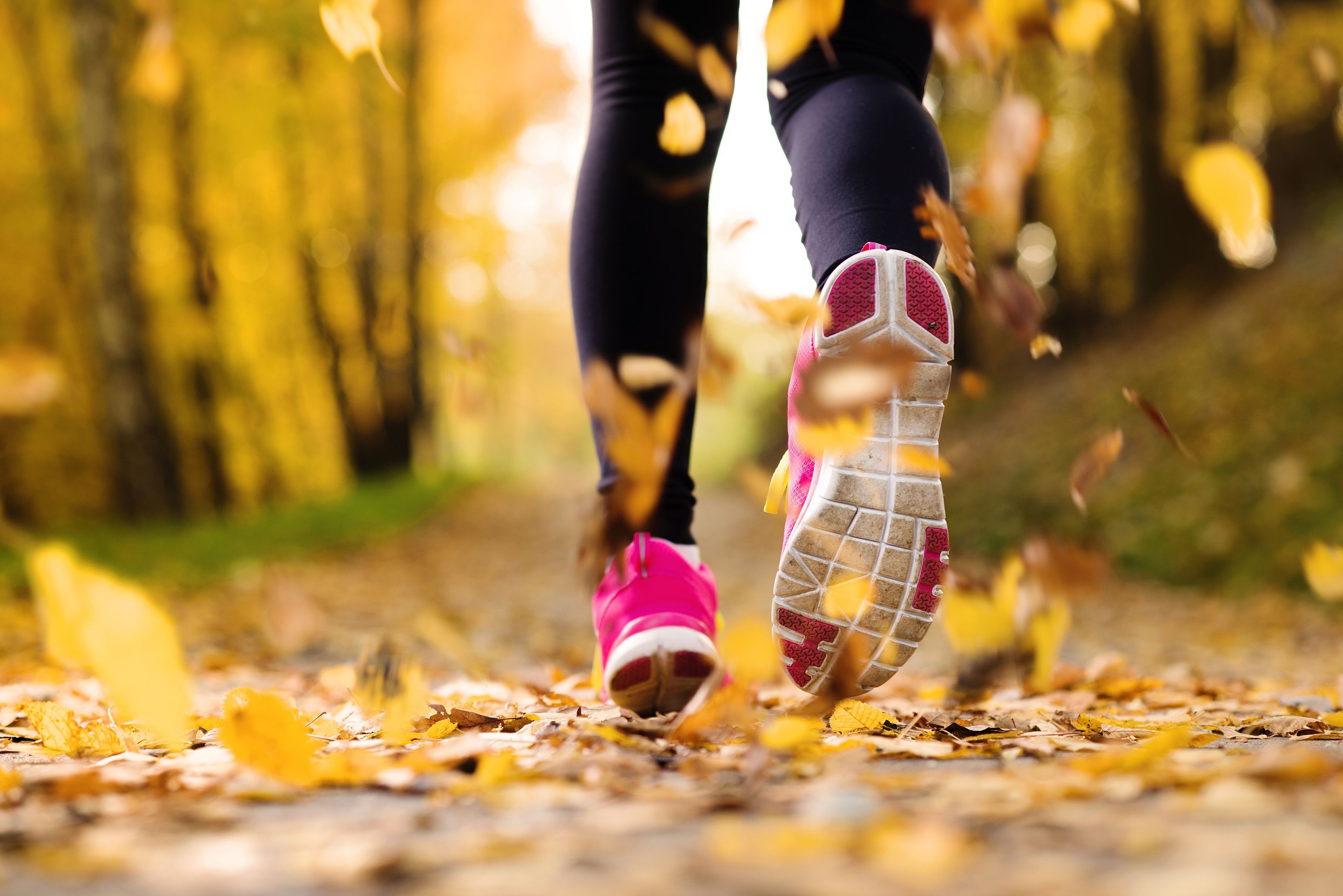Осень к весне ревновать. Бег осень. Осень спорт. Осенняя пробежка. Бег осенью.