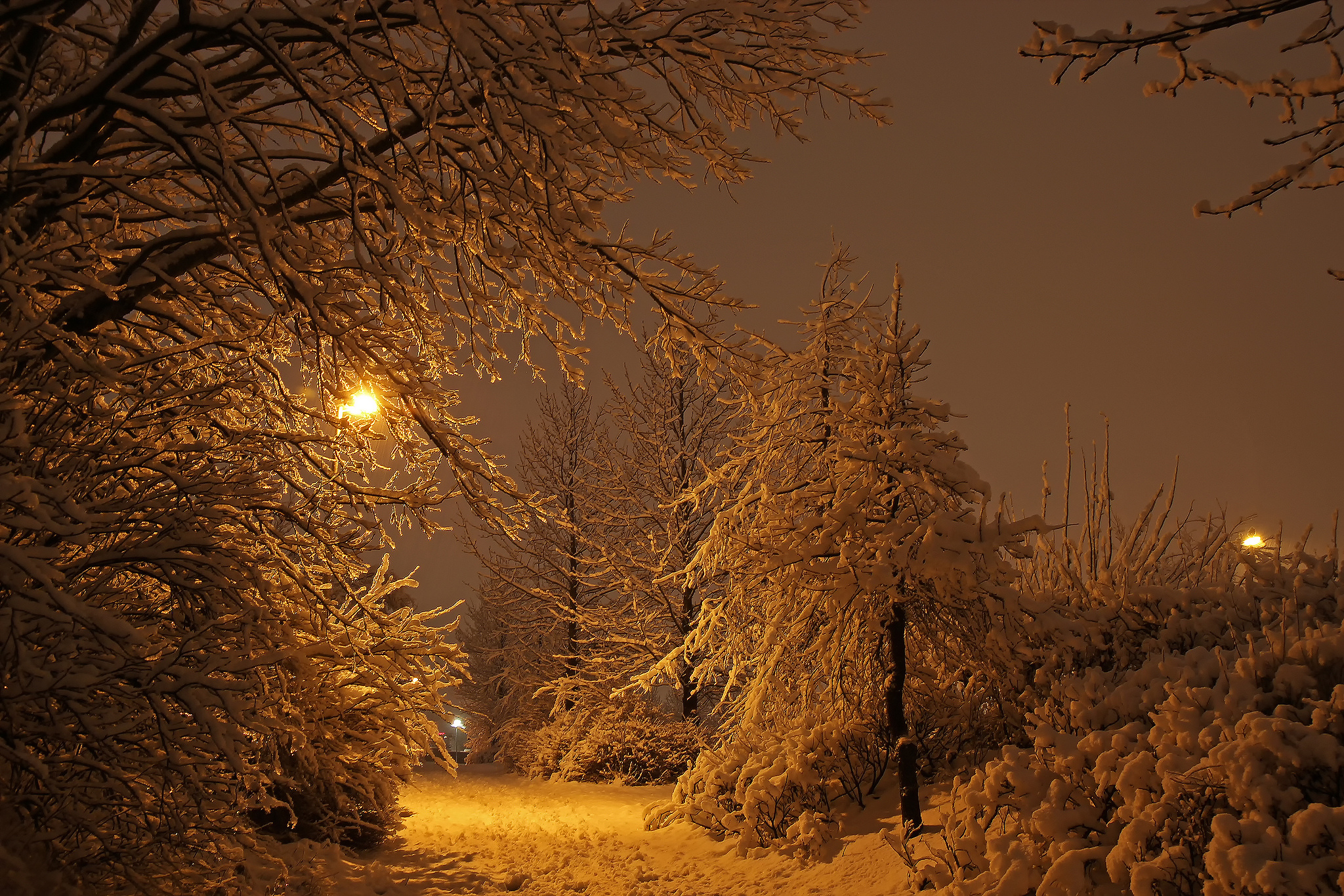 Красивая зима ночь. Зима ночь. Зима. К вечеру. Зимний ночной пейзаж. Зимний снежный вечер.