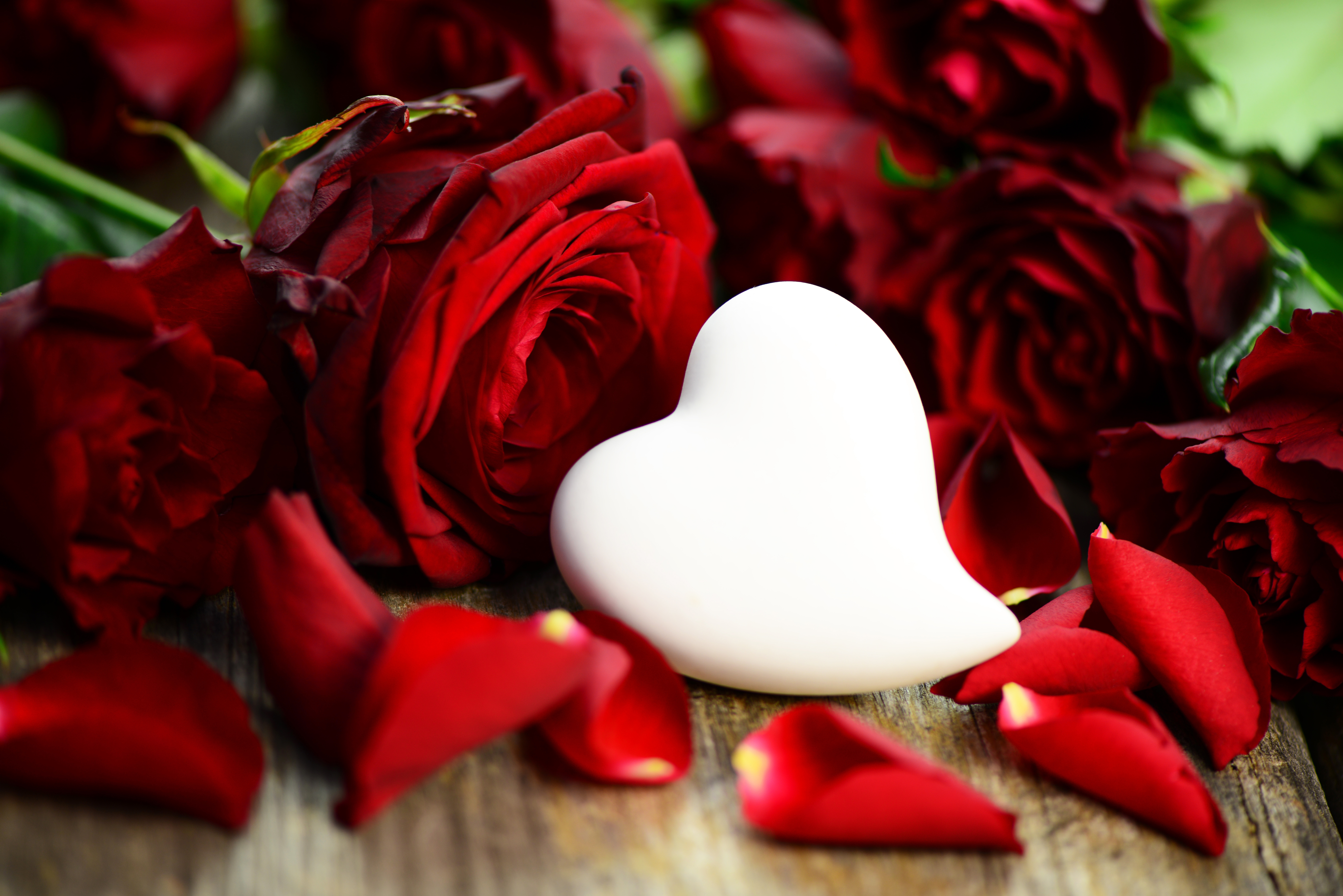Rose romance. Цветы сердечки. Романтические цветы. "Цветы любви". Лепестки роз.