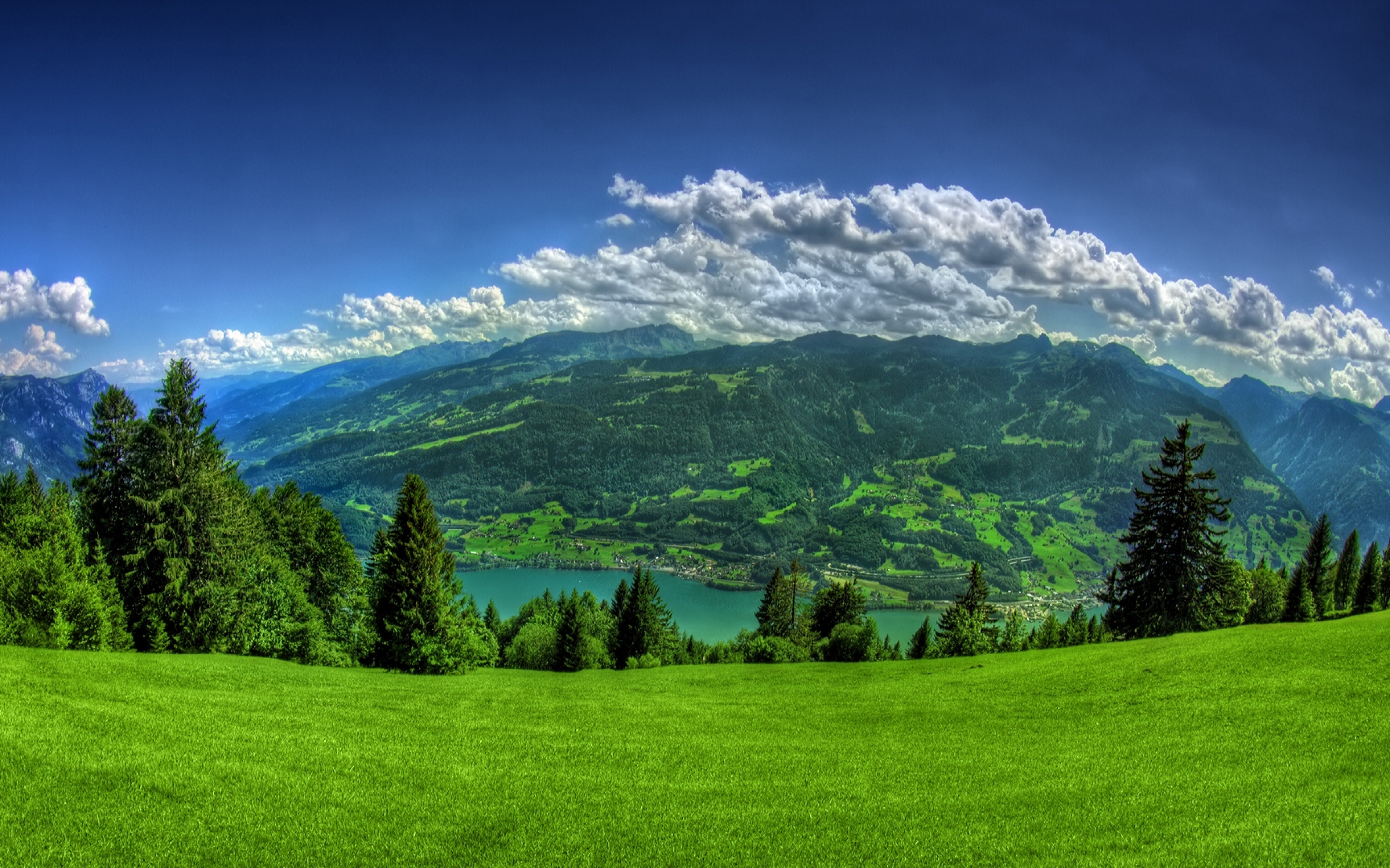 Очень много обой. Альпийские Луга Швейцария. Зеленые Луга Швейцарии. Швейцария манзаралари. Красивый пейзаж.