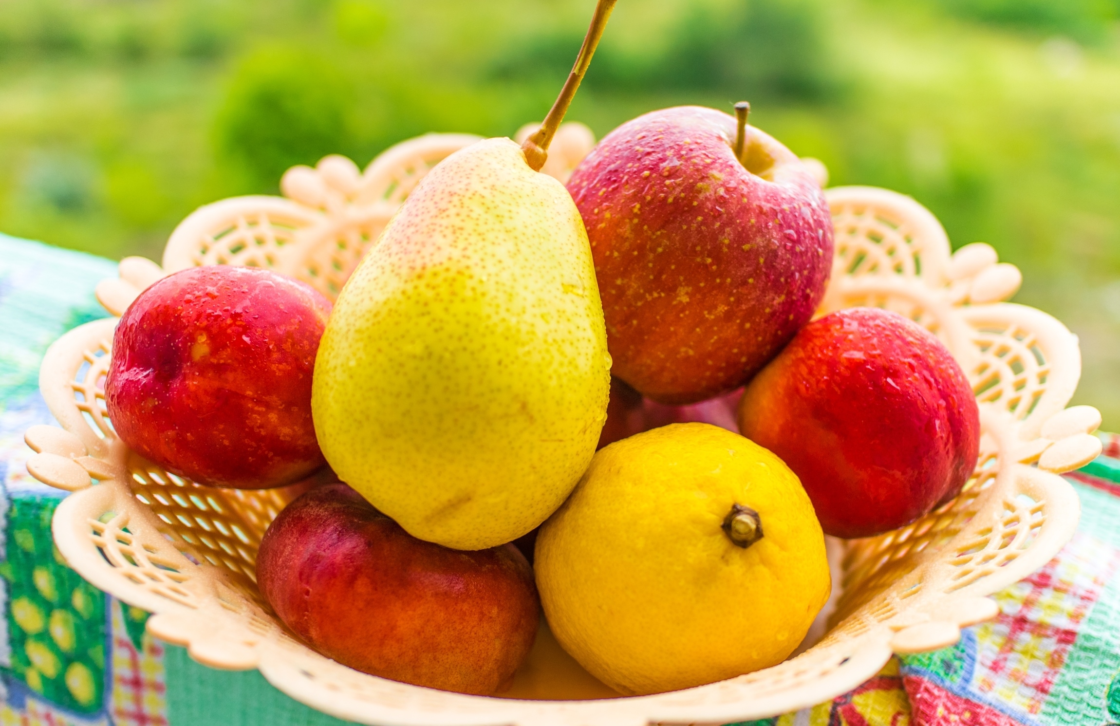 2 4 всех фруктов составляют персики. Фрукты. Летние фрукты. Красивые фрукты. Фрукты яблоки груши.