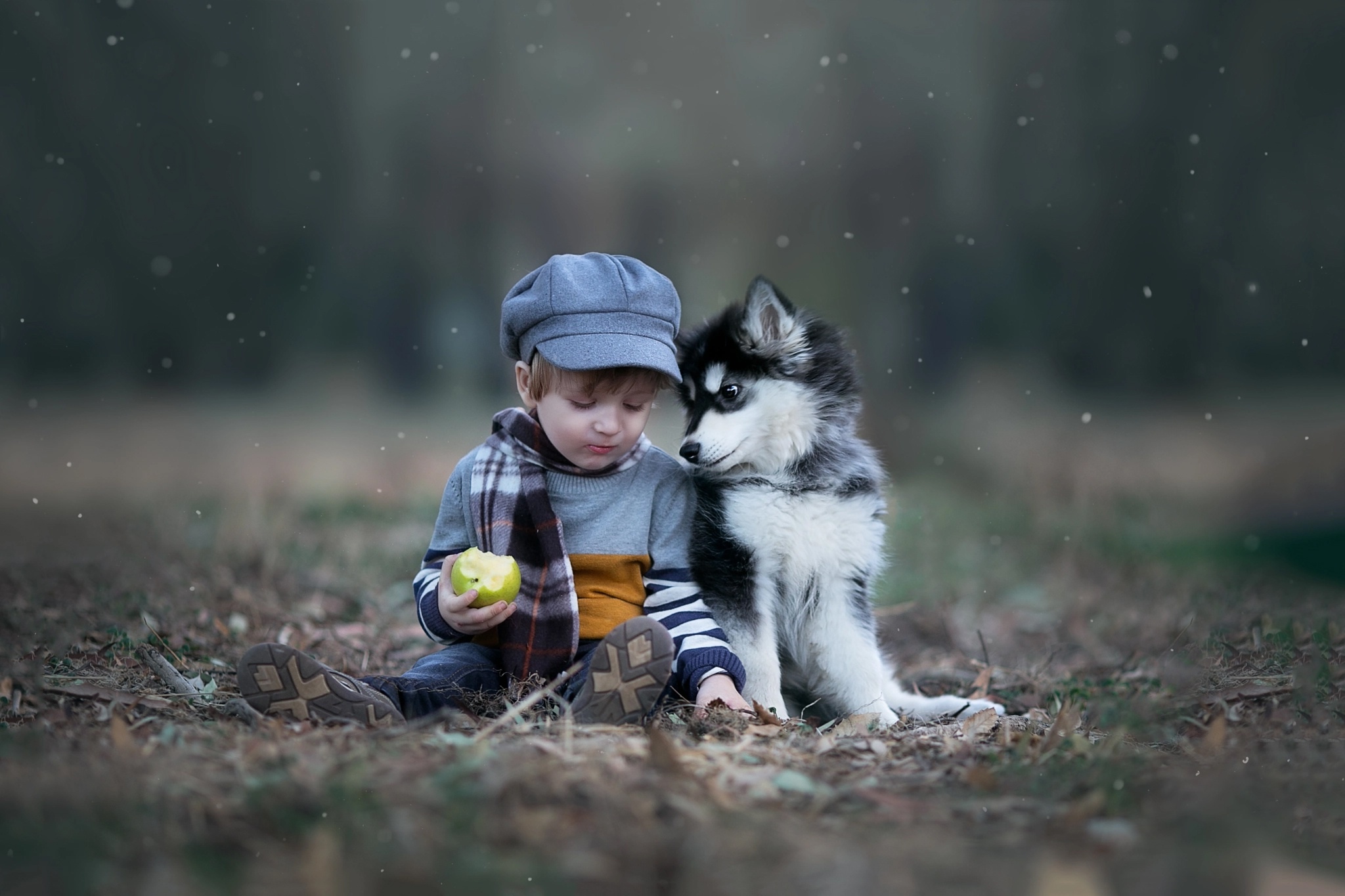 Фото собак мальчиков. Мальчик с собакой. Для детей. Животные. Детская фотосессия с собакой.