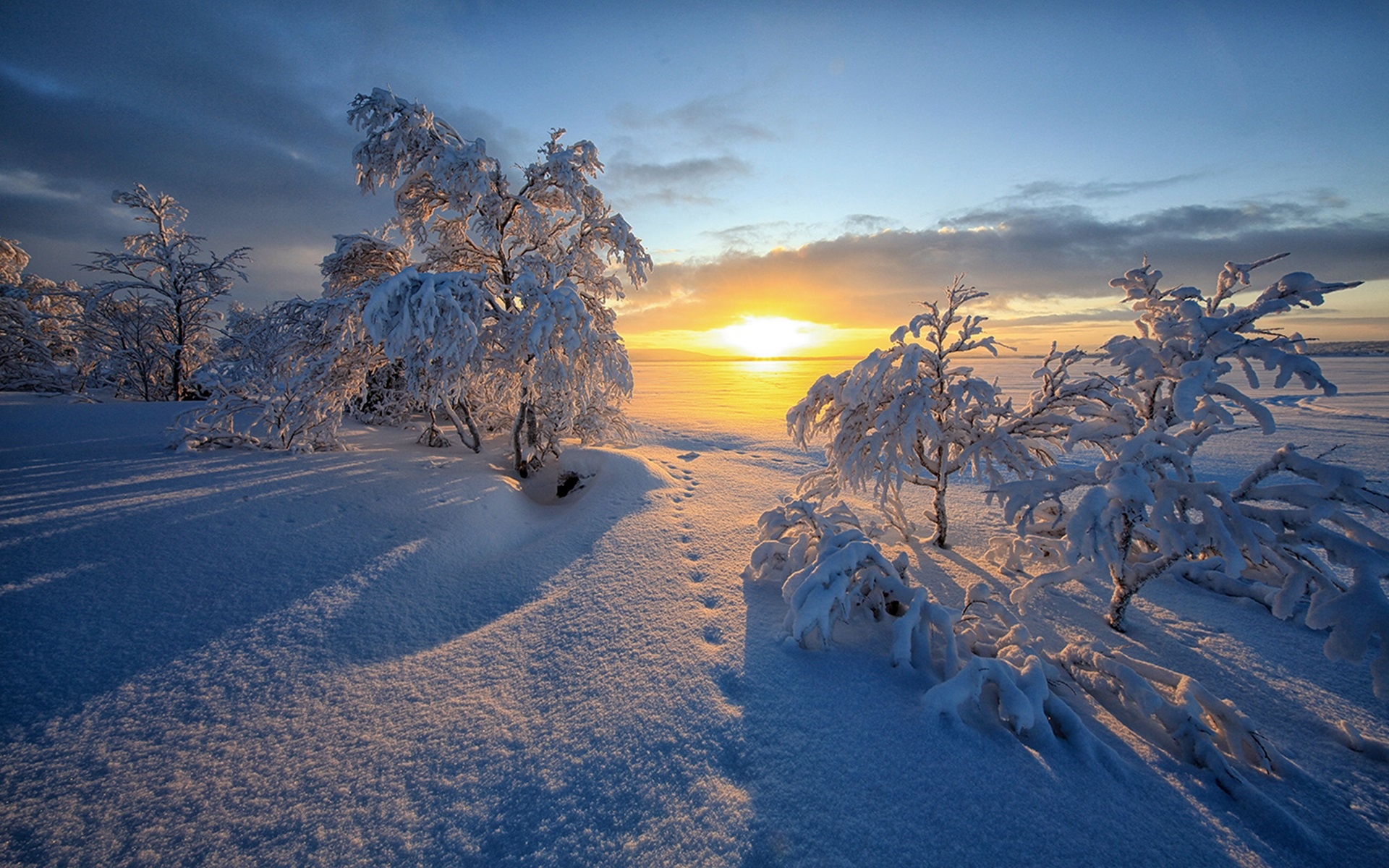 Вид зимы. Зимний пейзаж. Красивая зима. Зимняя природа. Снежный пейзаж.