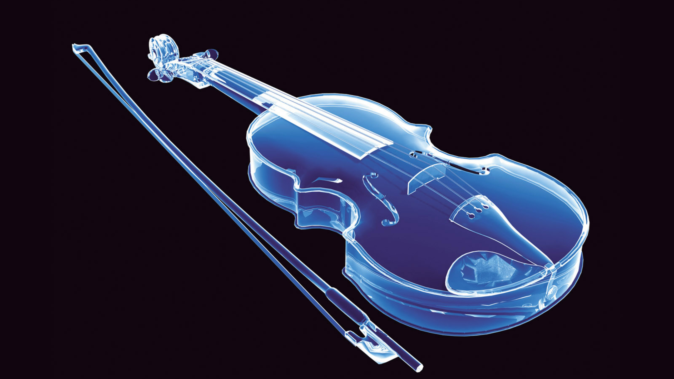 Violin скрипка. Скрипка. Скрипка музыкальный инструмент. Скрипка на черном фоне. Красивая скрипка.