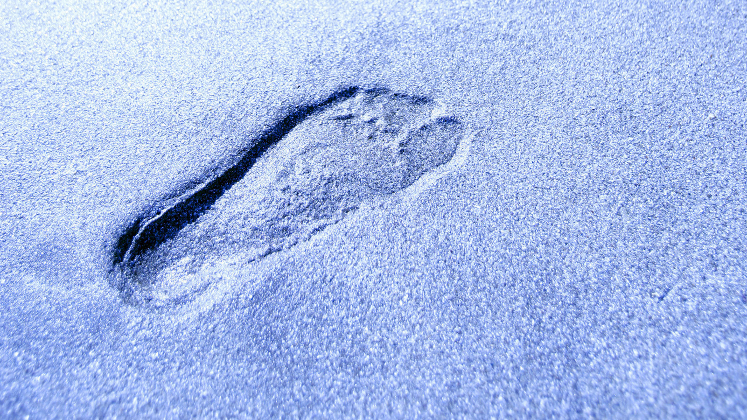 Остаются лишь следы. Следы на снегу. Следы. Отпечатки ног на снегу. Человеческие следы.