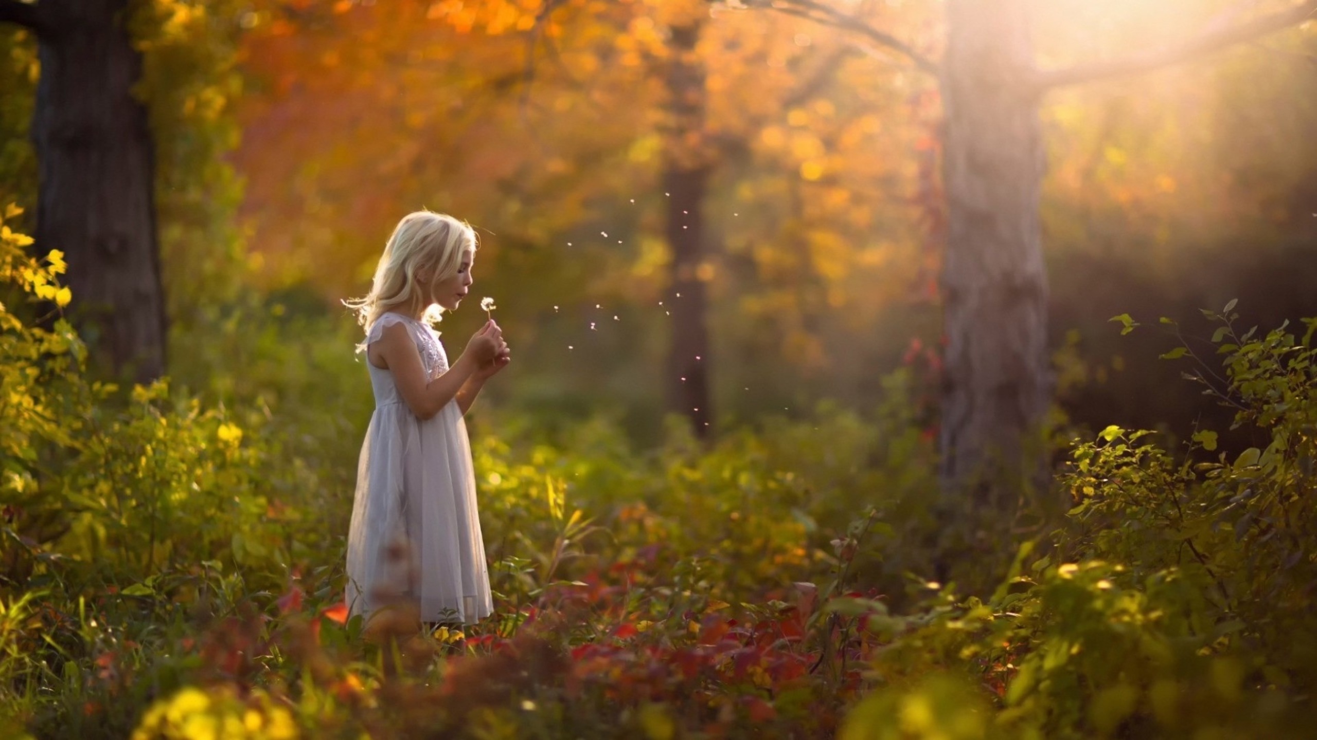Гуляла девочка в лесу. Девочка в лесу. Девочка в лесу прогулка. Фотосессия в лесу в белом платье. Девочка в волшебном осеннем лесу.
