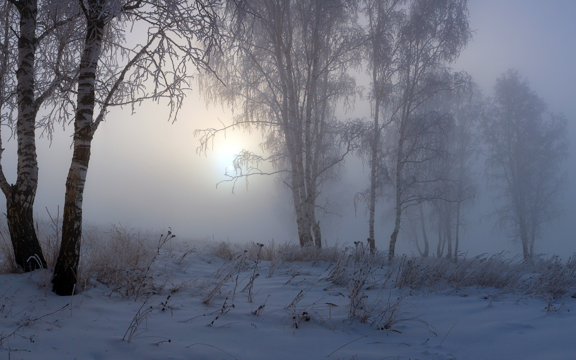 Полная тайна хмурой тишины. Пасмурный зимний день. Пасмурное зимнее утро. Зимний туман. Хмурое зимнее утро.