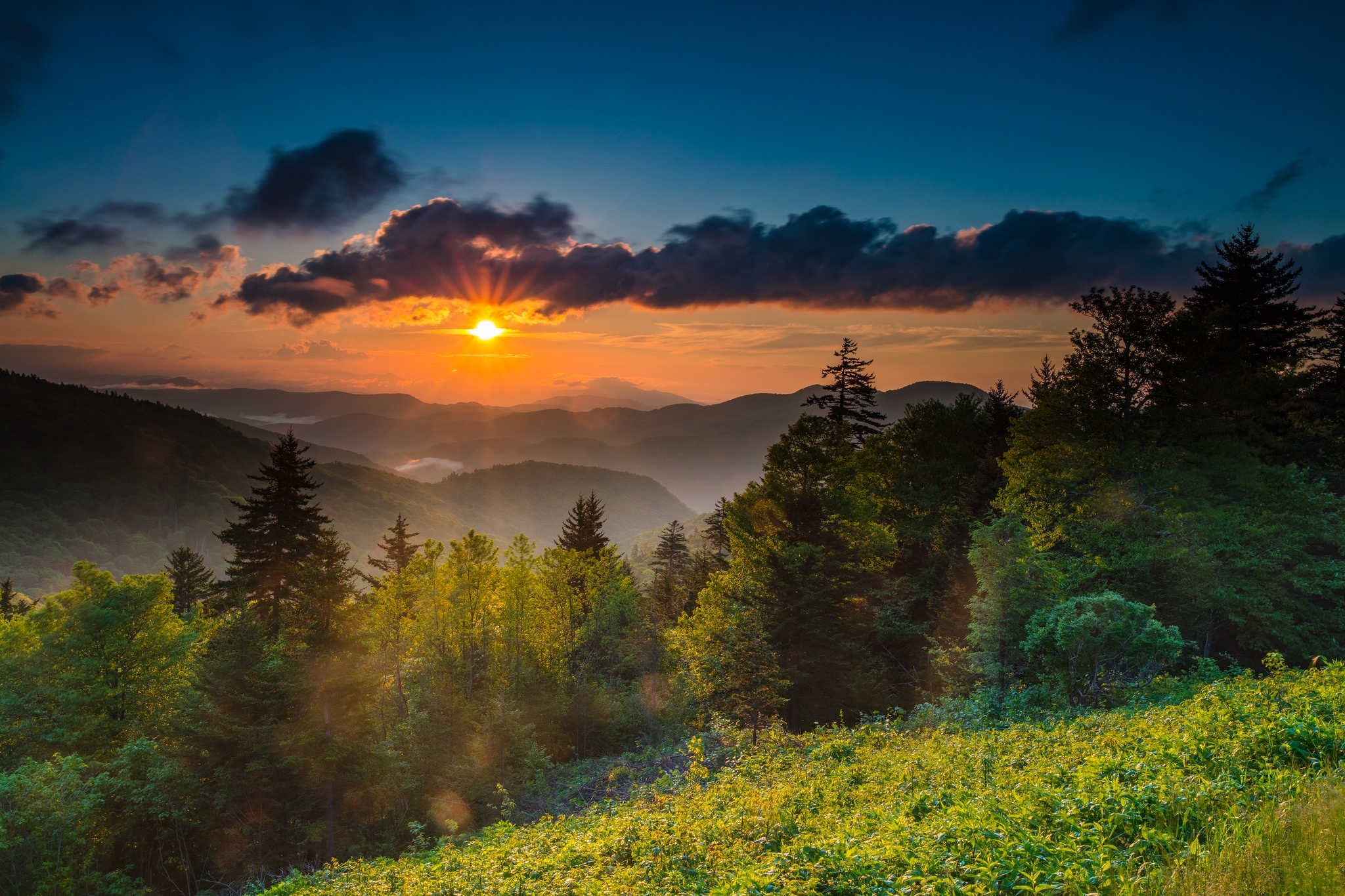 Солнце над лесом. Северная Каролина фото природа. Красивый рассвет. Природа рассвет. На Восходе солнца.