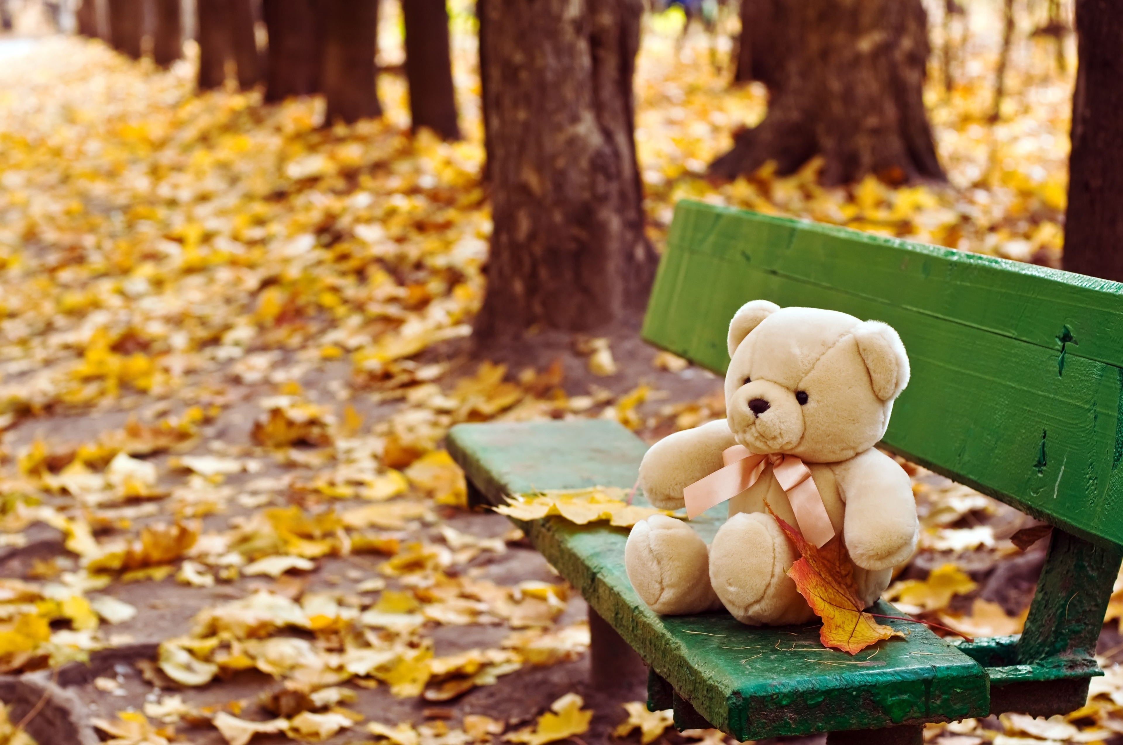 Скучаю садик. Медвежонок на скамейке в парке. Плюшевый мишка осенью. Скамейка Медвежонок. Мишка на скамейке.