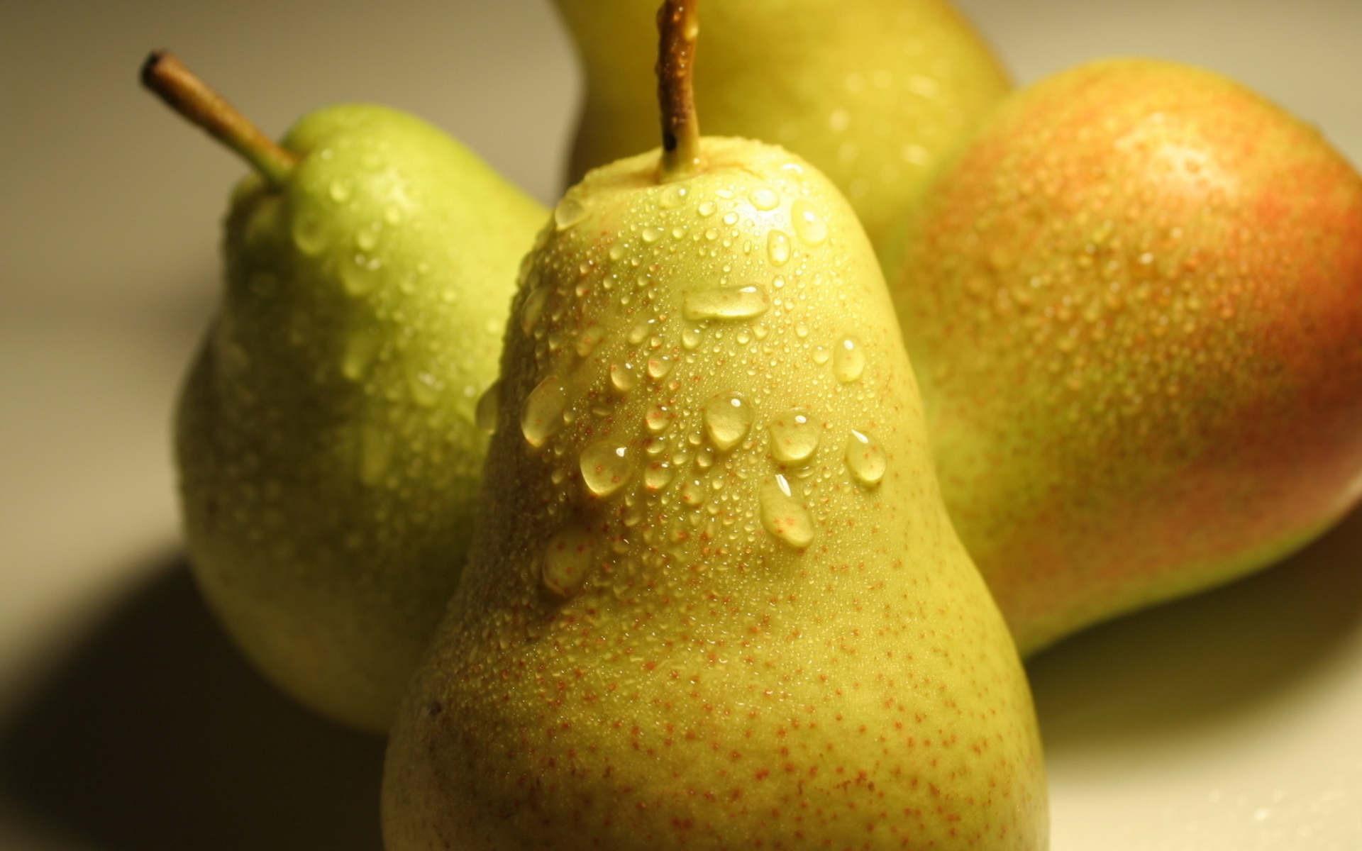 Fresh pear. Груша сорт Лукас. Fresh Pear груша. Груша Силк Кинг.
