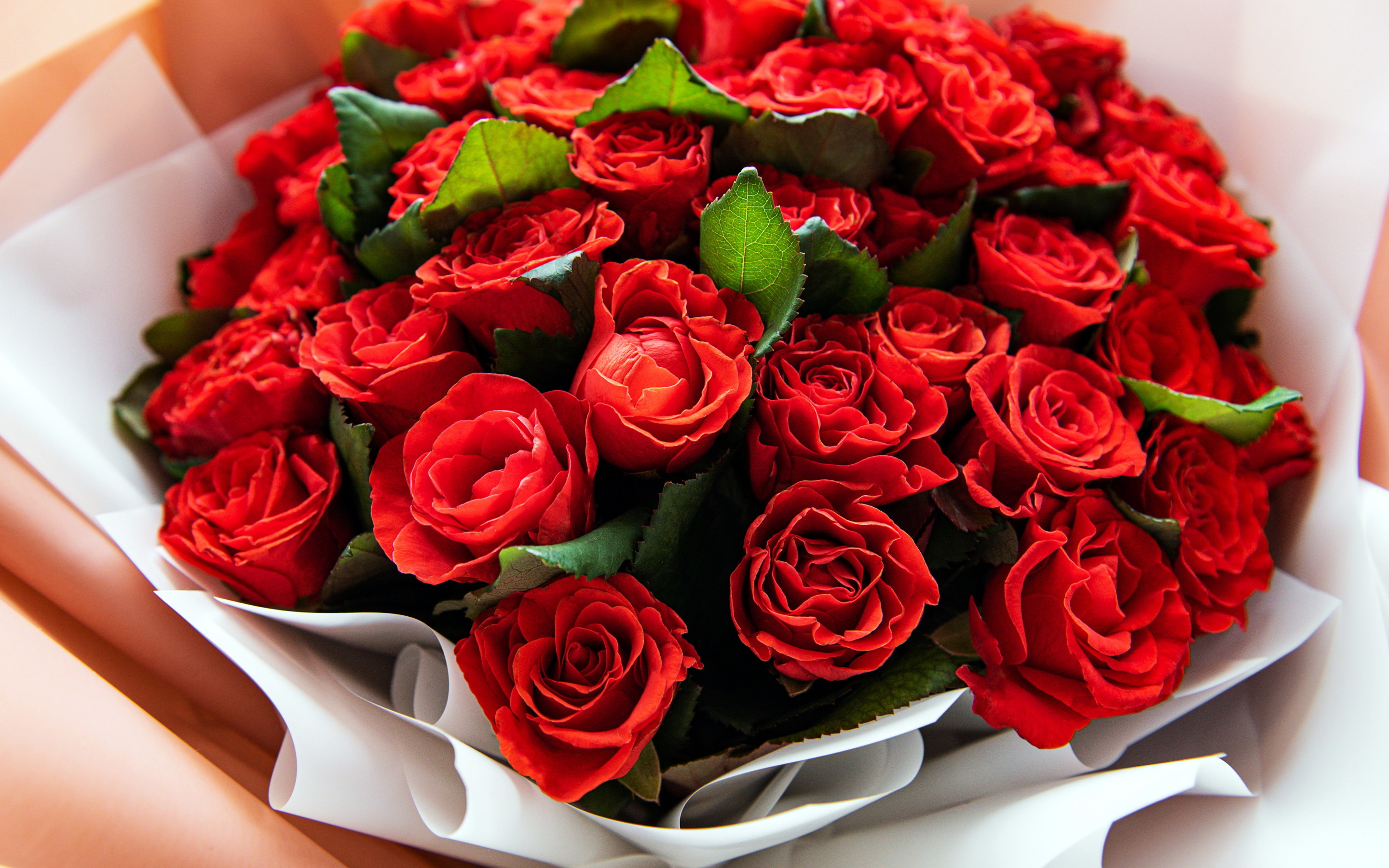 Букет свежих роз. Rose Red Bouquet красные розы. Букет шикарный. Роскошные цветы.