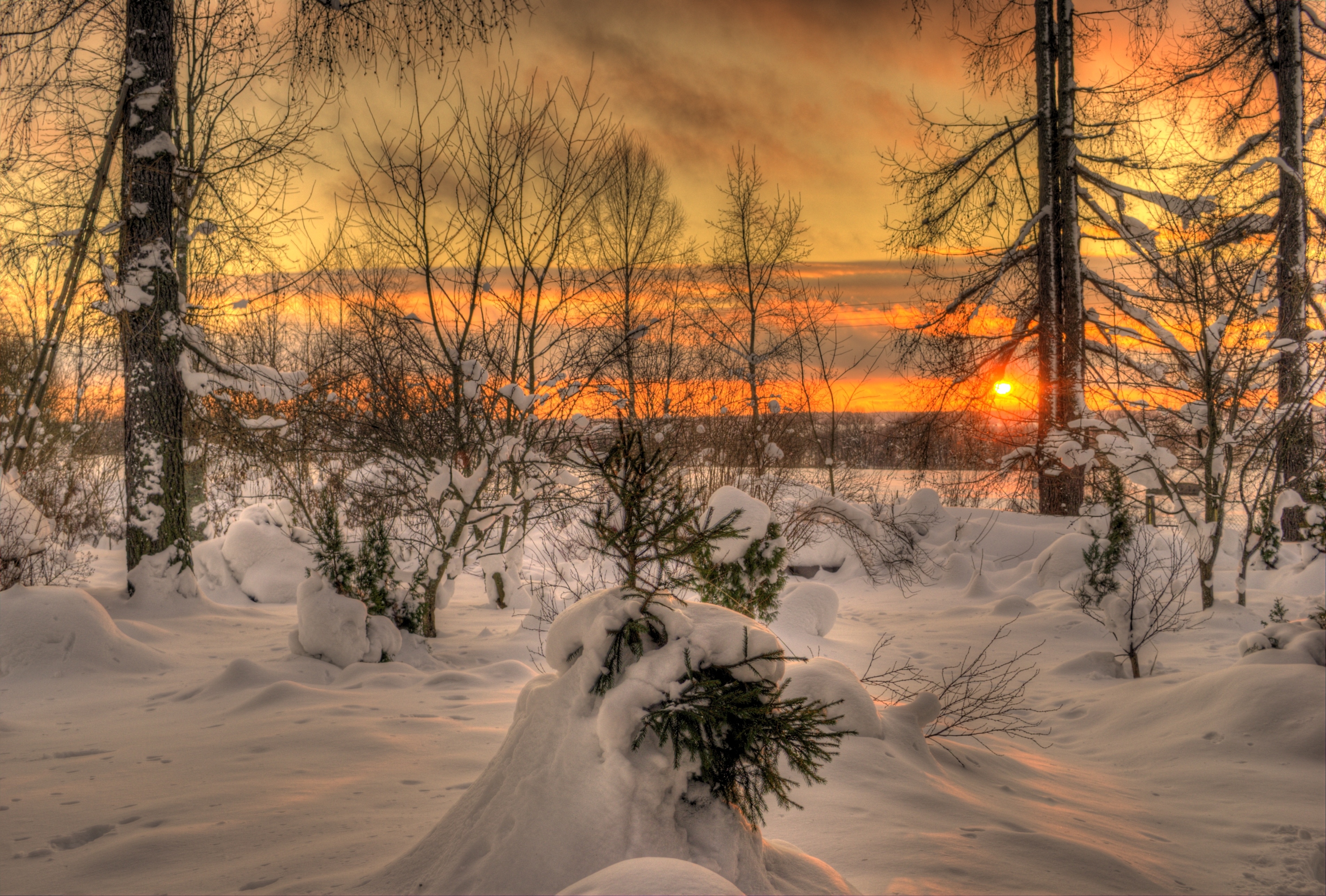Утро природа февраль. Зимняя природа. Зима закат. Зима пейзаж. Красивая зима.