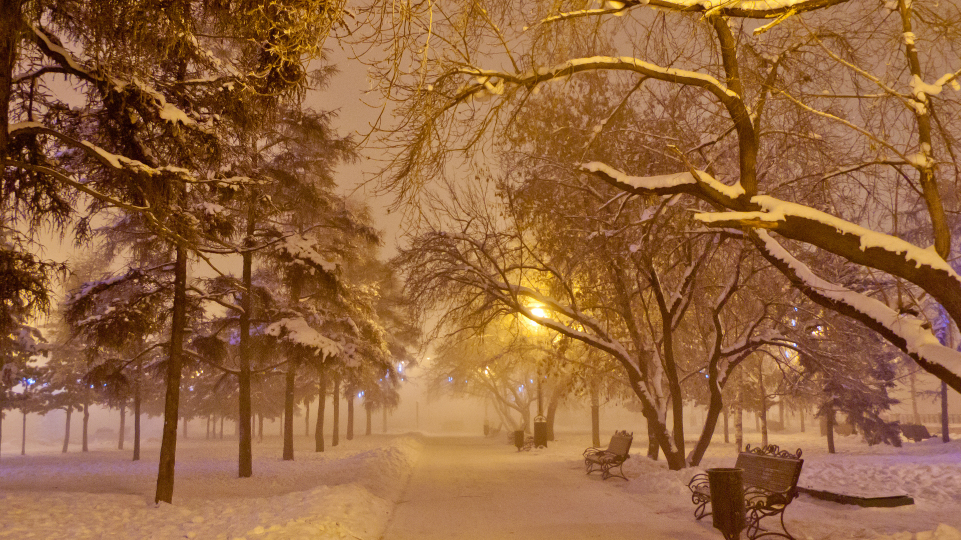 Зимнее утро в парке