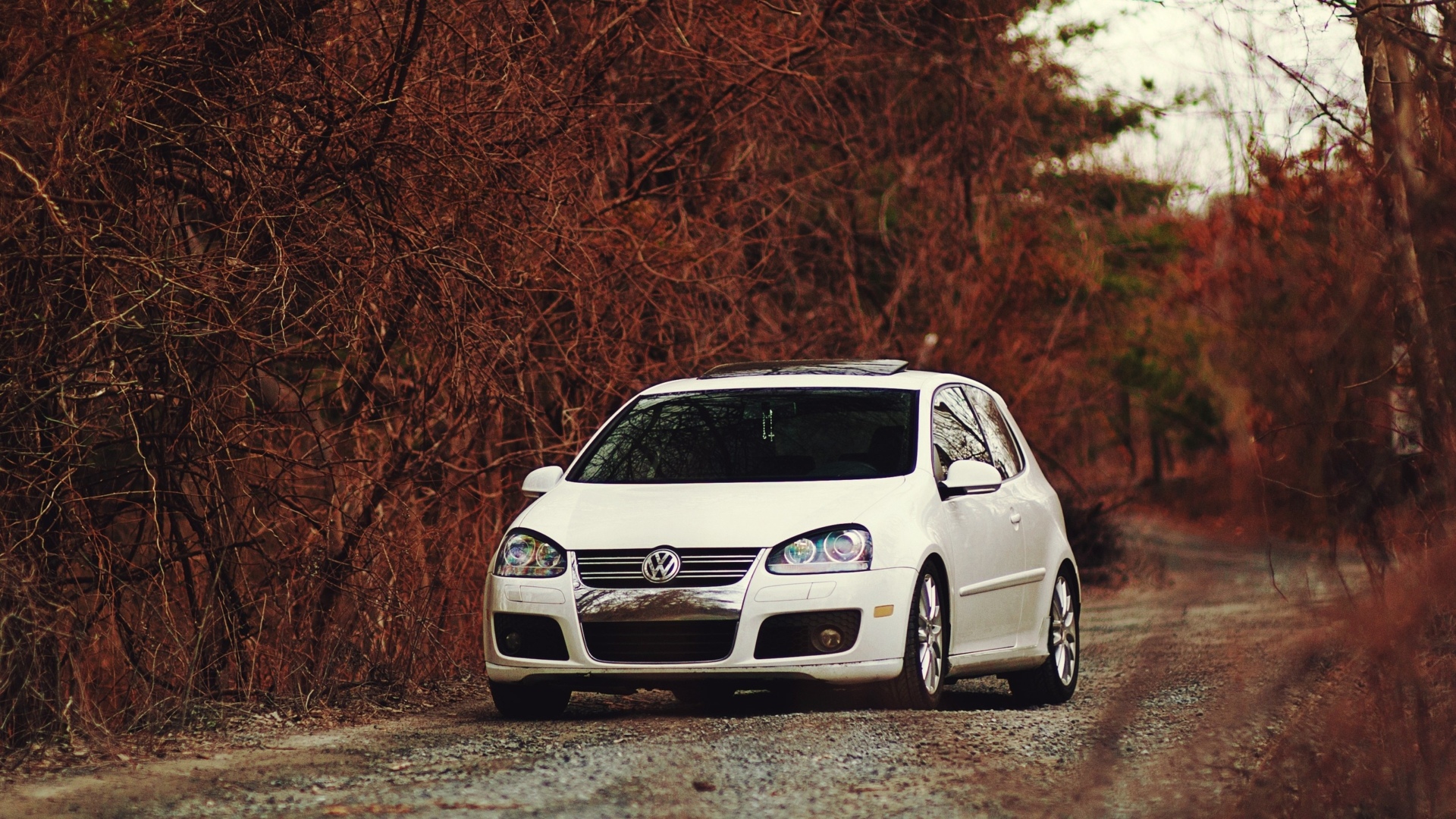Volkswagen Golf 5 GTI Wallpaper
