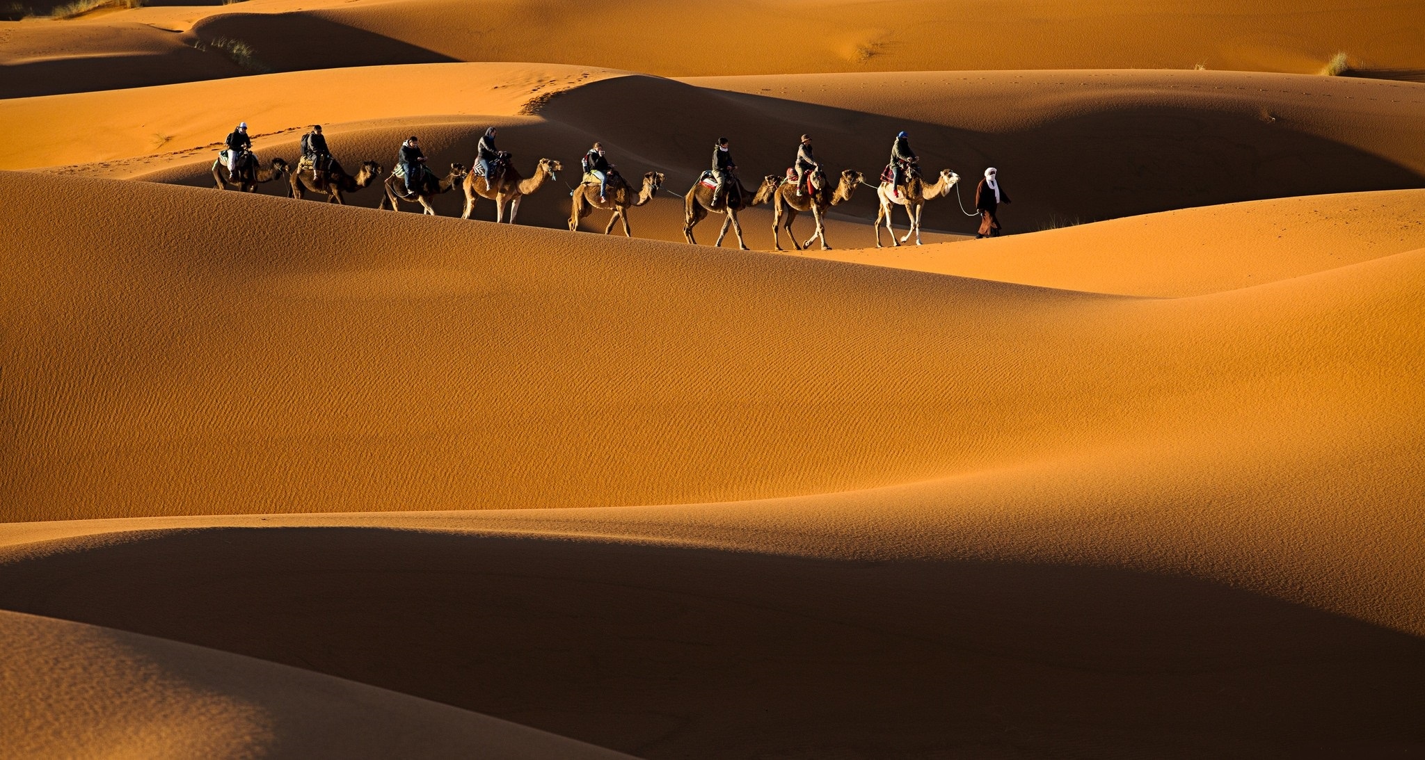 Покажи караван. Пустыня Караван Барханы. Караван Мекка пустыня. Марокко пустыня Караваны. Марокко Верблюды.