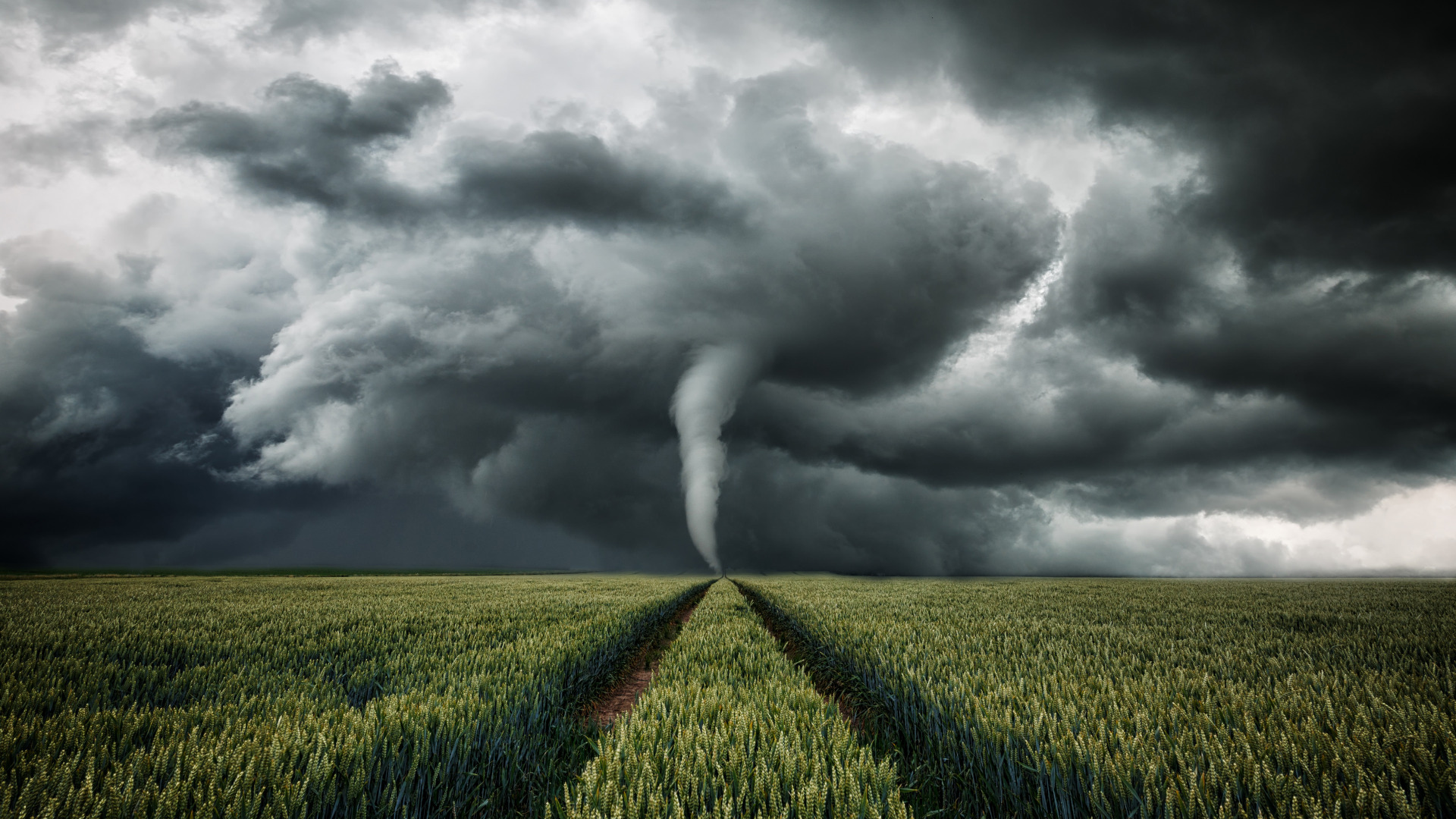 Que significa tormentas dispersas