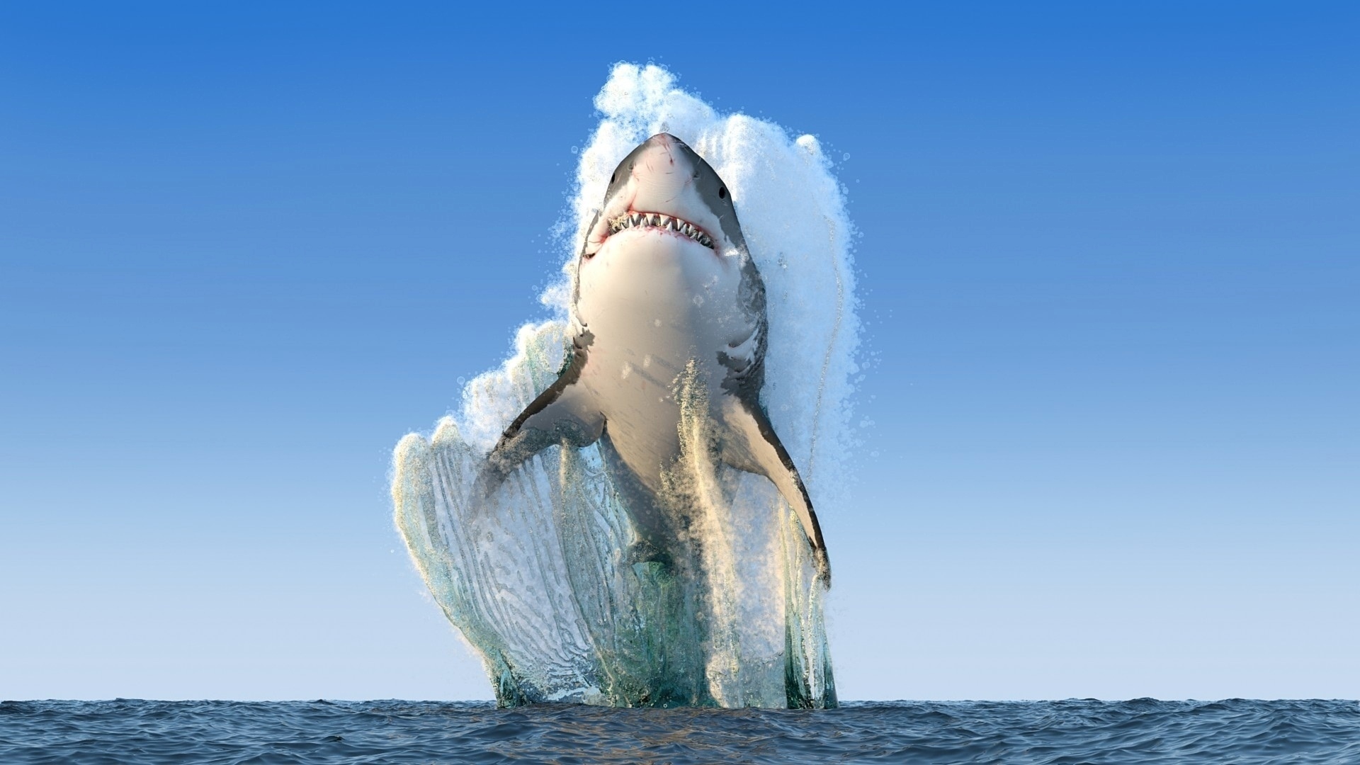 Белая акула выпрыгивает из воды