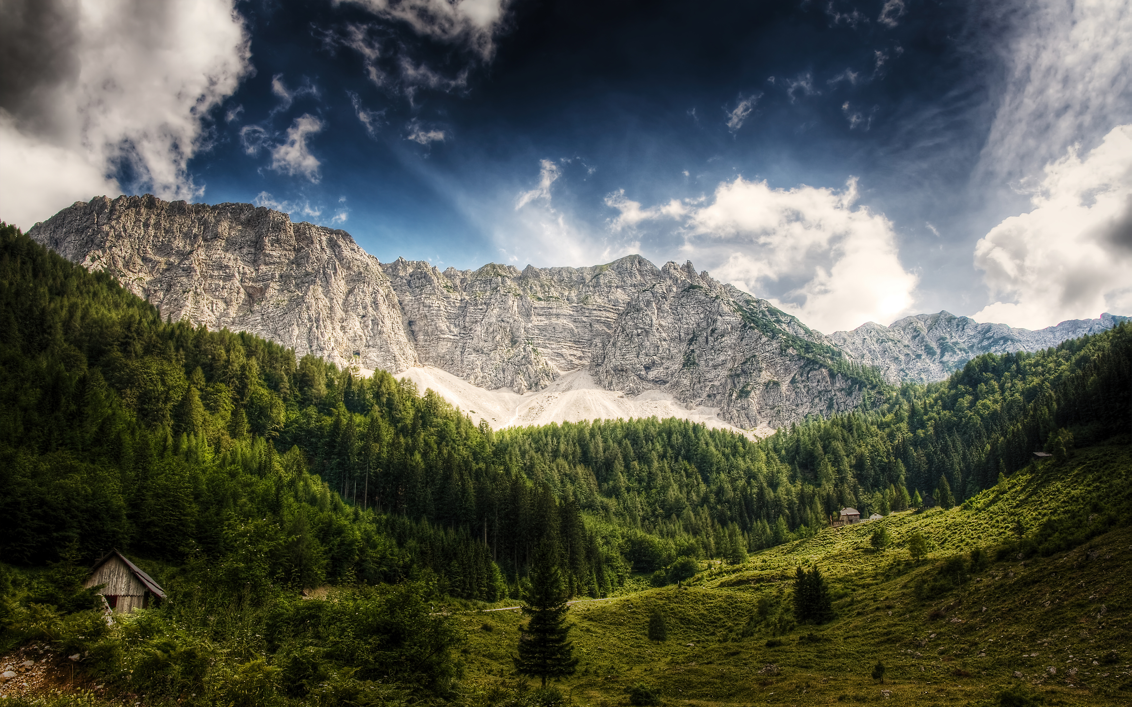 Фото лес и горы. Австрия Альпы. Австрия Альпы еловый лес. Дикая Лесистая местность горы перспектива. Уллу Тау.