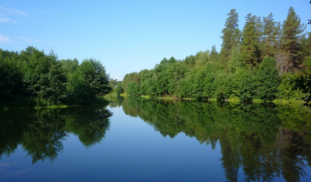 лес, река, утро