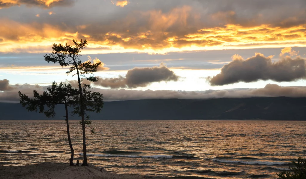 дерево, море, небо