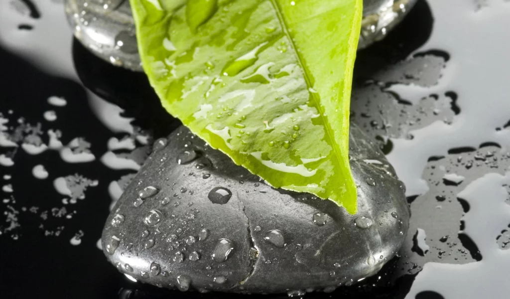лист, капли, макро, камень, вода