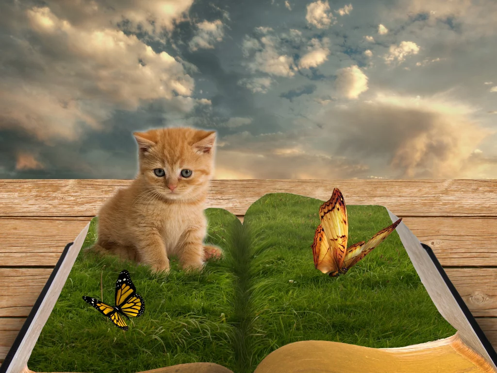 Котёнок, Бабочки, Живая книга