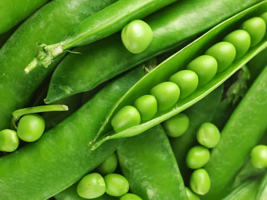 макро, горох, стручки