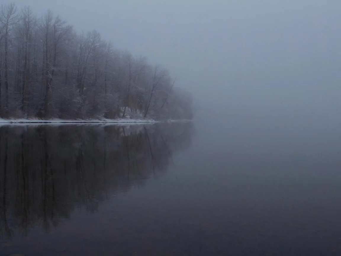 зима, деревья, вода, отражение