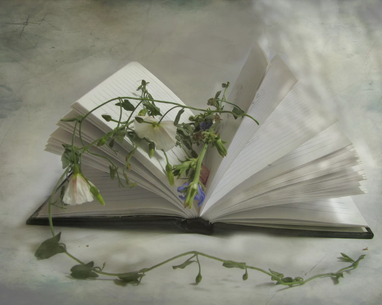блокнот, цветы, книга, нтюрморт, 