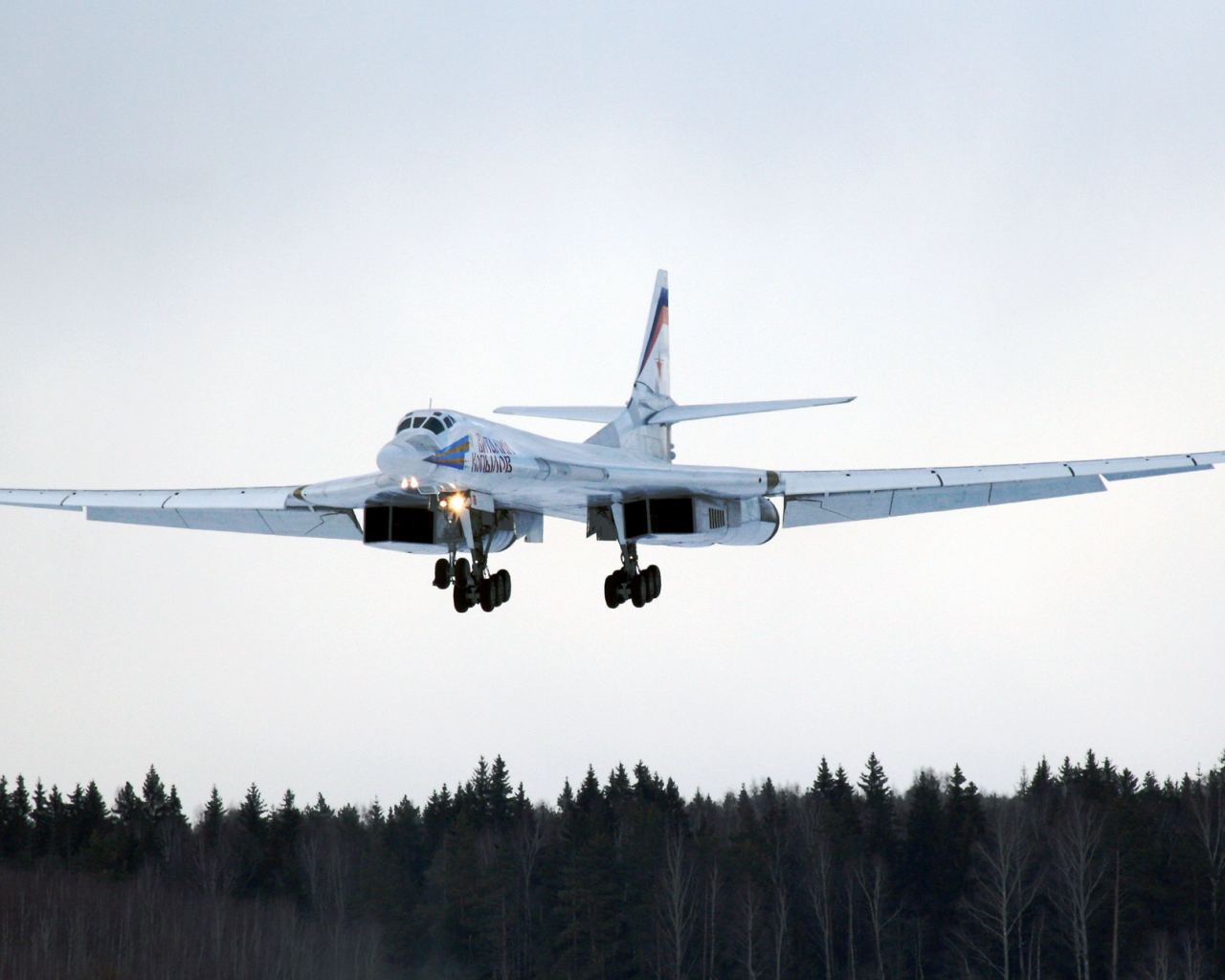 Ту-160, Туполев, ракетоносец, белый лебедь