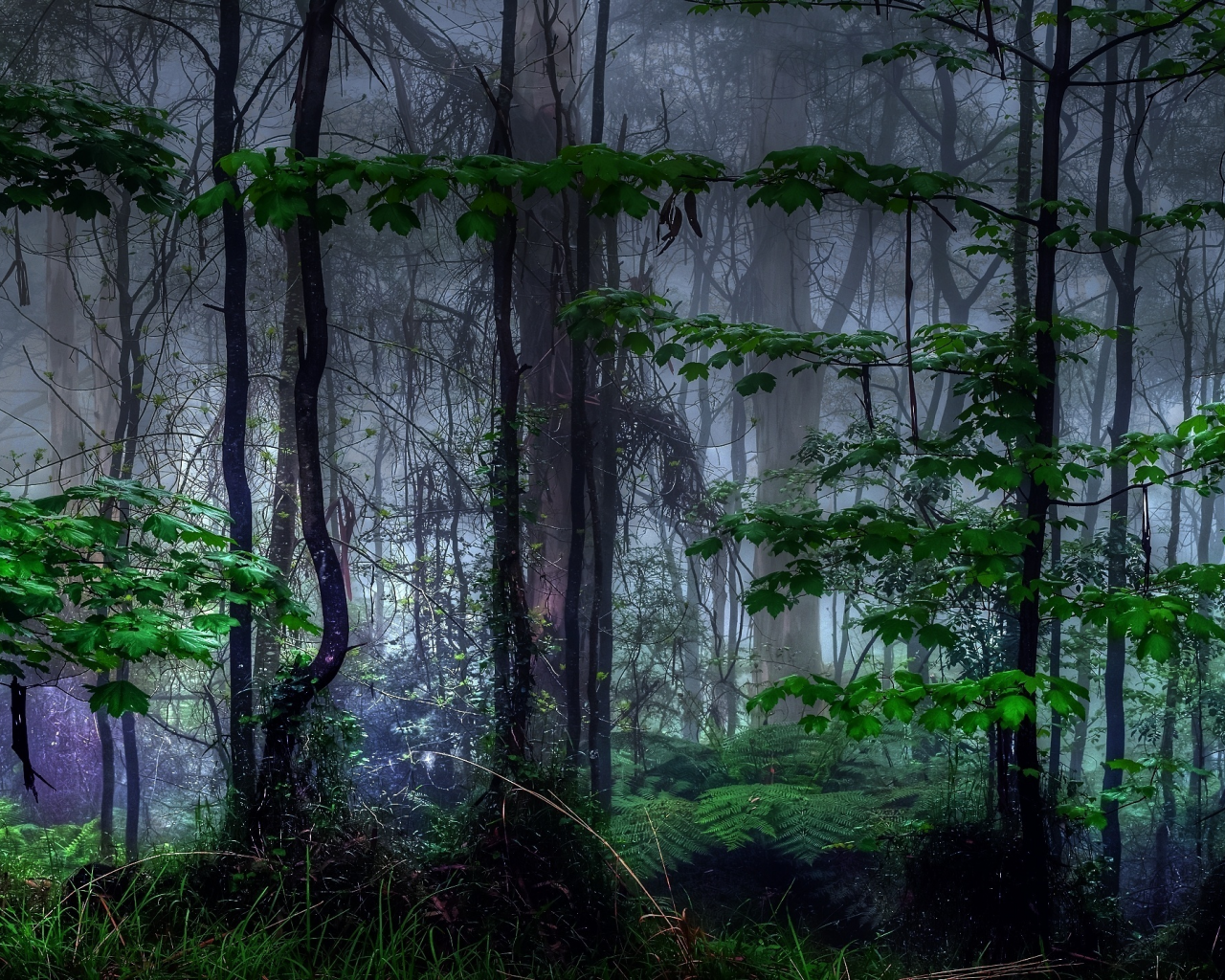 лес, мистика, туман, природа