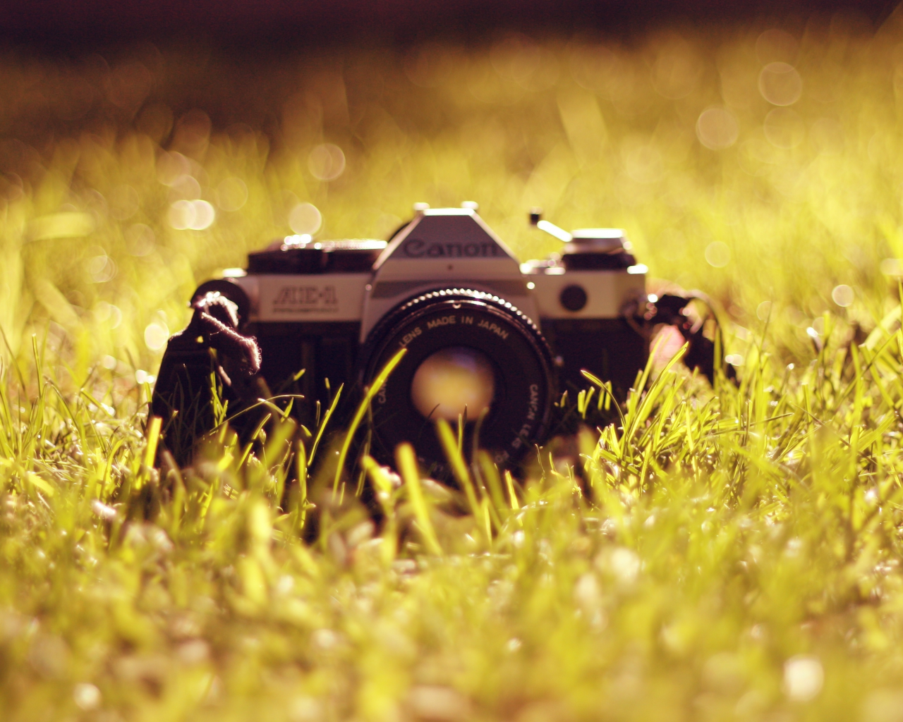 объектив, фотоаппарат, антиквариат, трава